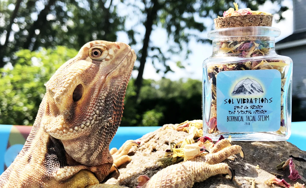 Pin A Rose On Your Nose Facial Steam