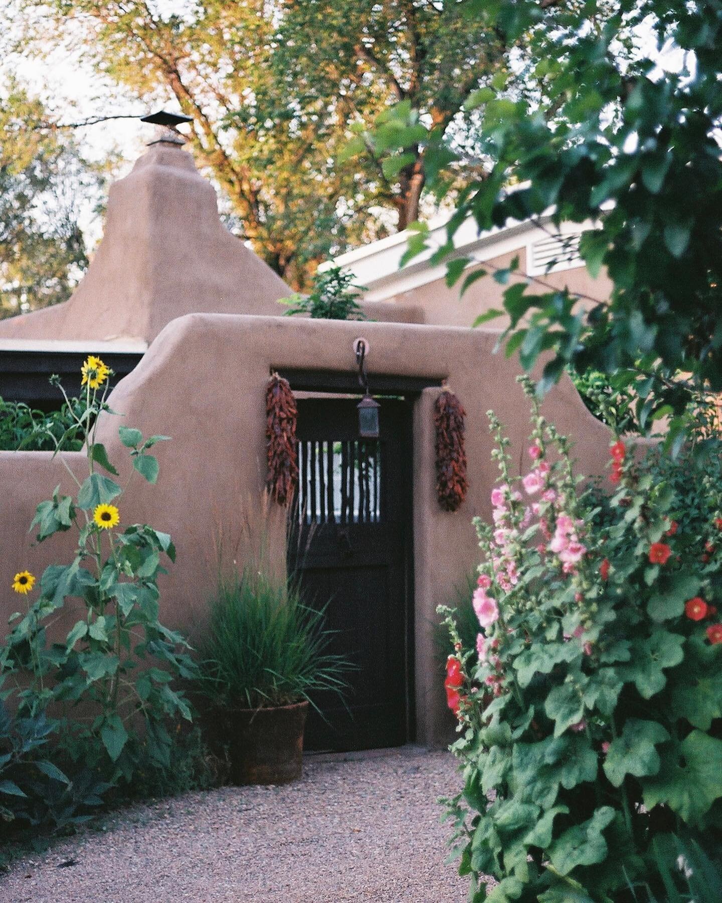 Sunset strolls around the historic district 🌻 #santafefound