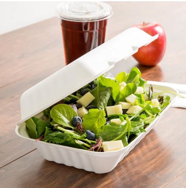 EcoChoice 7 x 5 x 2 1/2 Compostable Sugarcane / Bagasse Take-Out  Container - 125/Pack