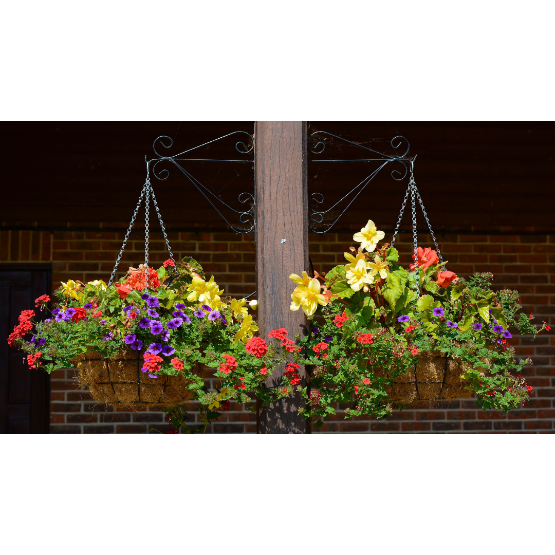 hanging basket 2.png