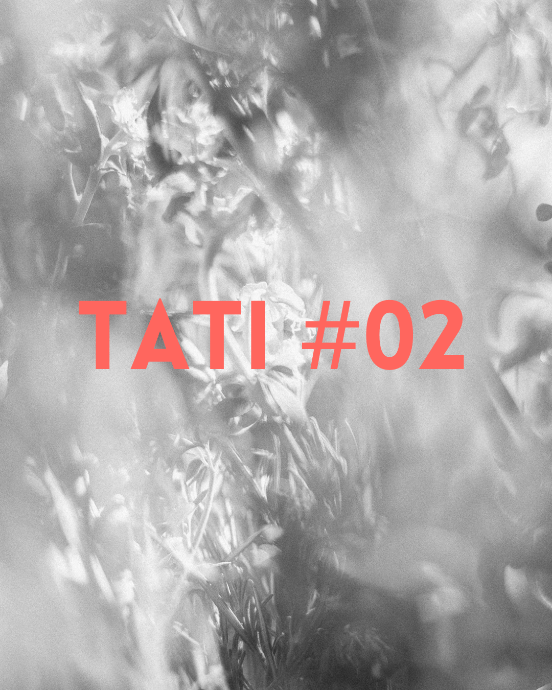 TATI #02: A simple flower is a miracle