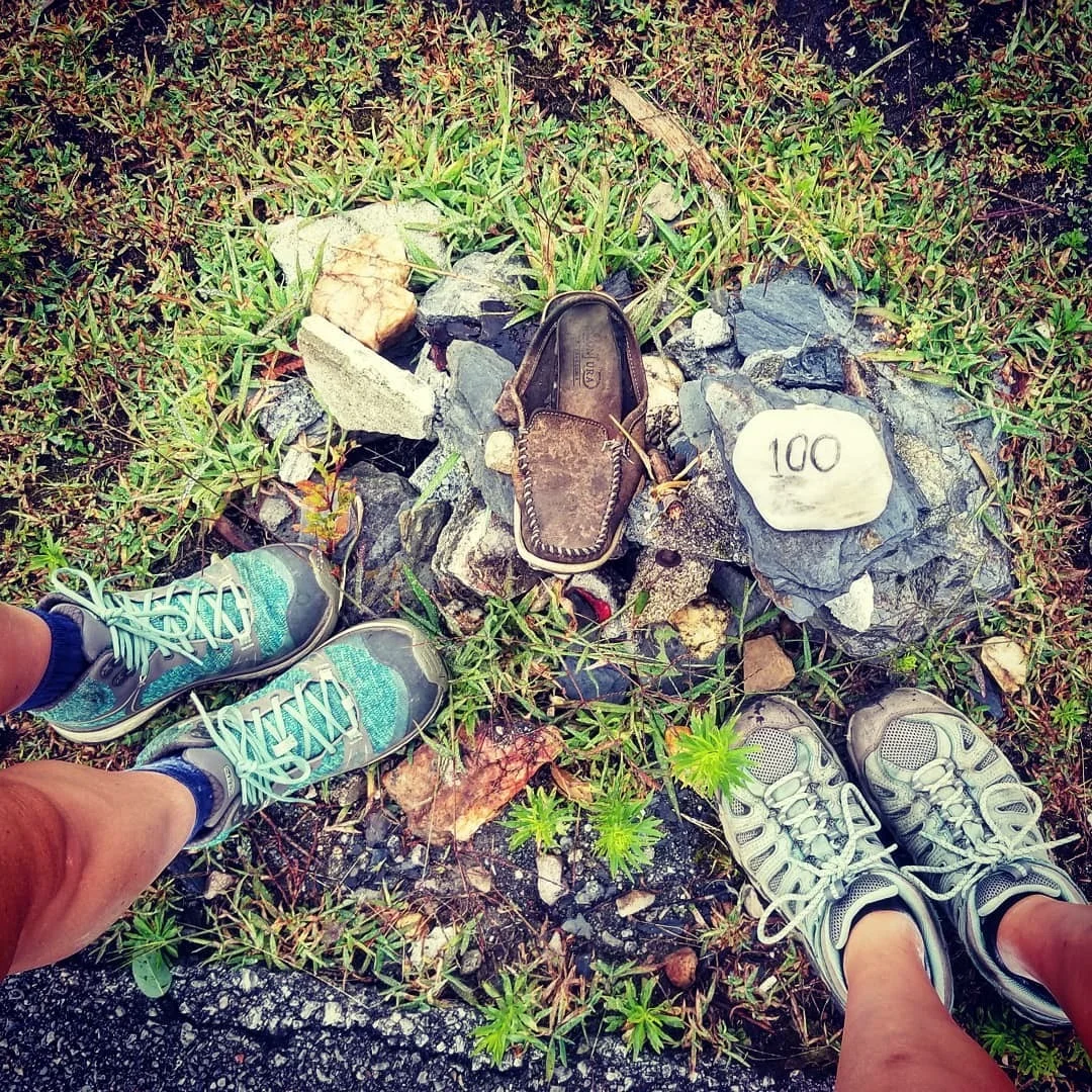 The Camino - Your Way is The Way