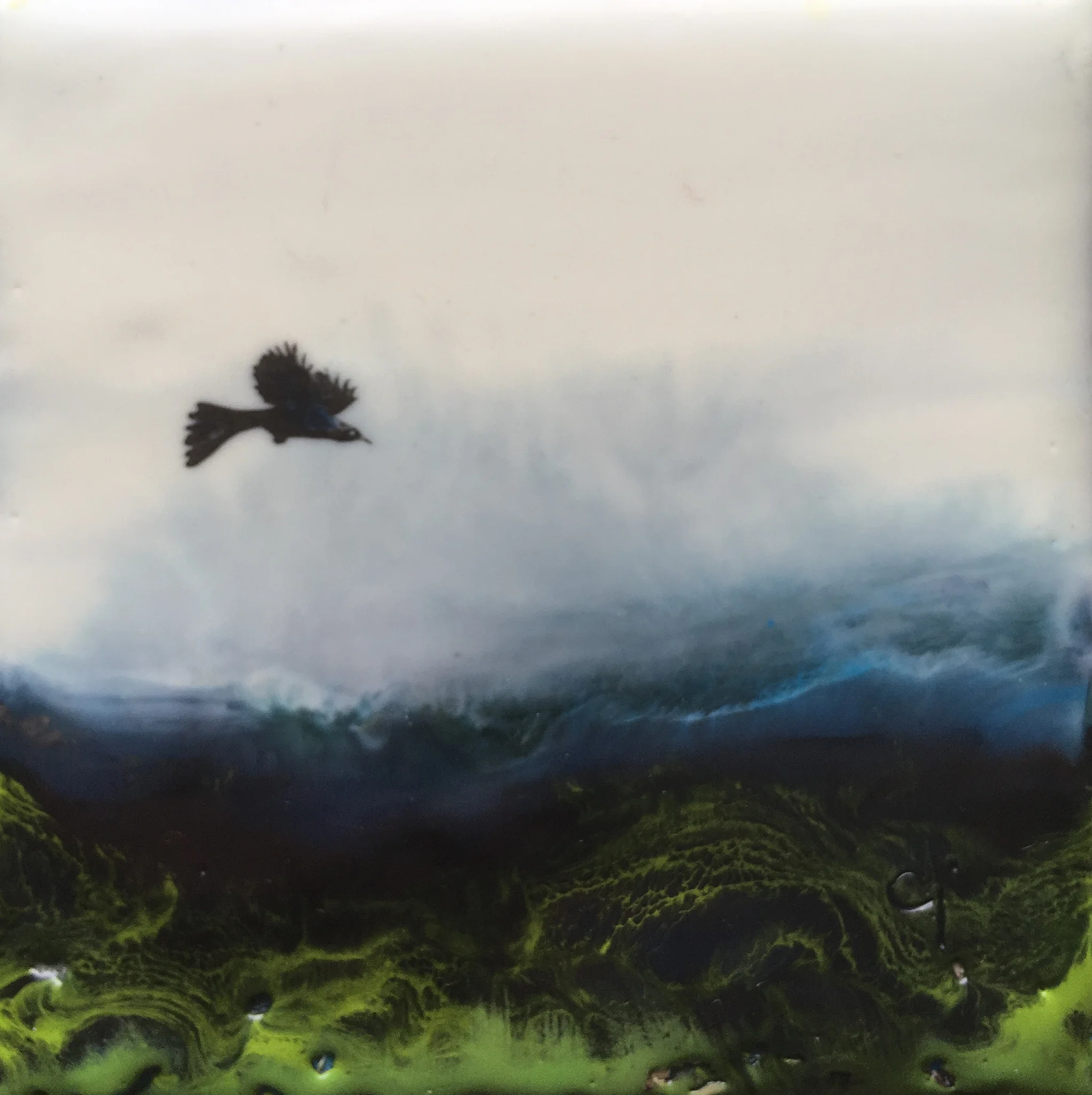“Uncommon Grackle” 4x4” framed encaustic mixed media on board $100 CAD 2019