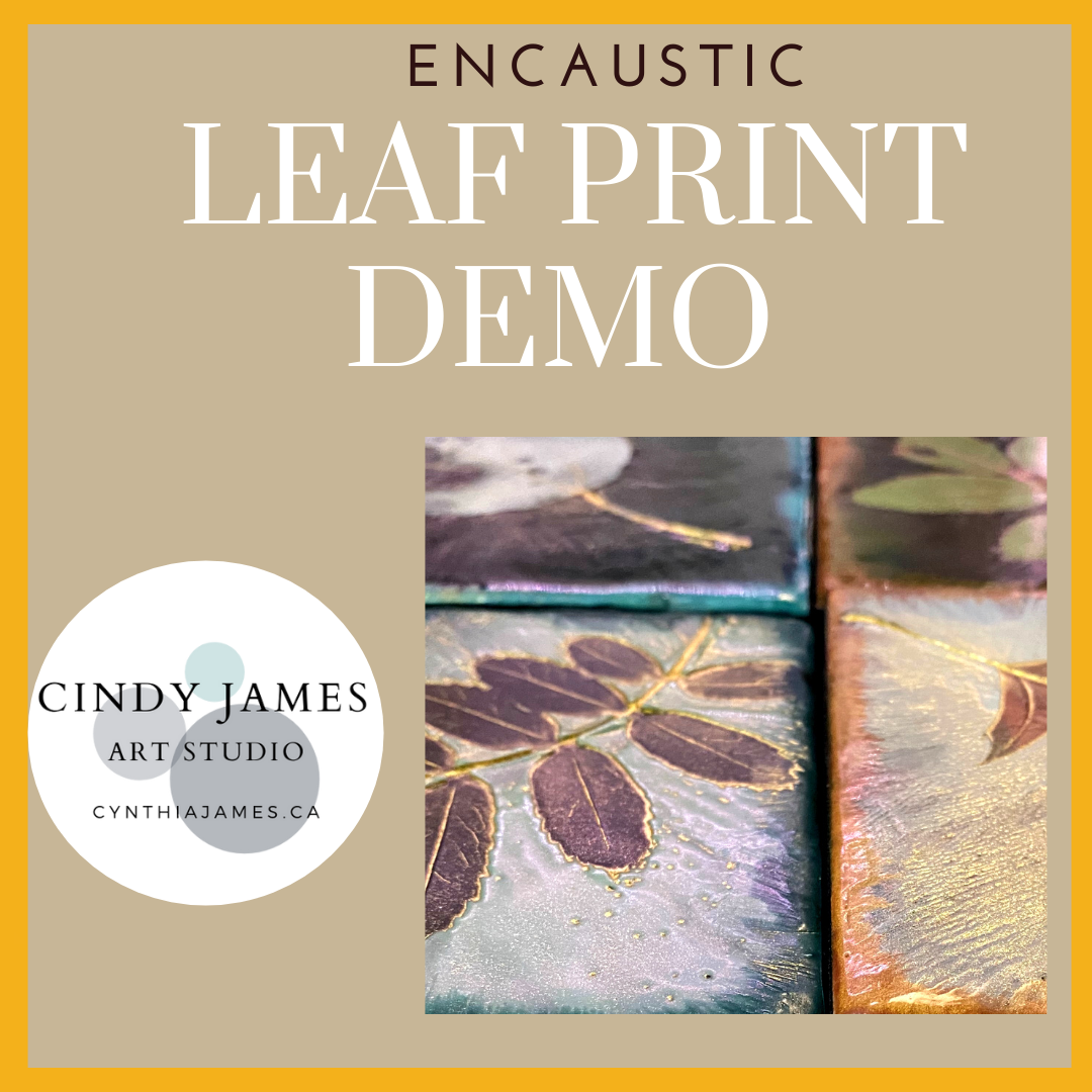 Copy of studio setup insta.png