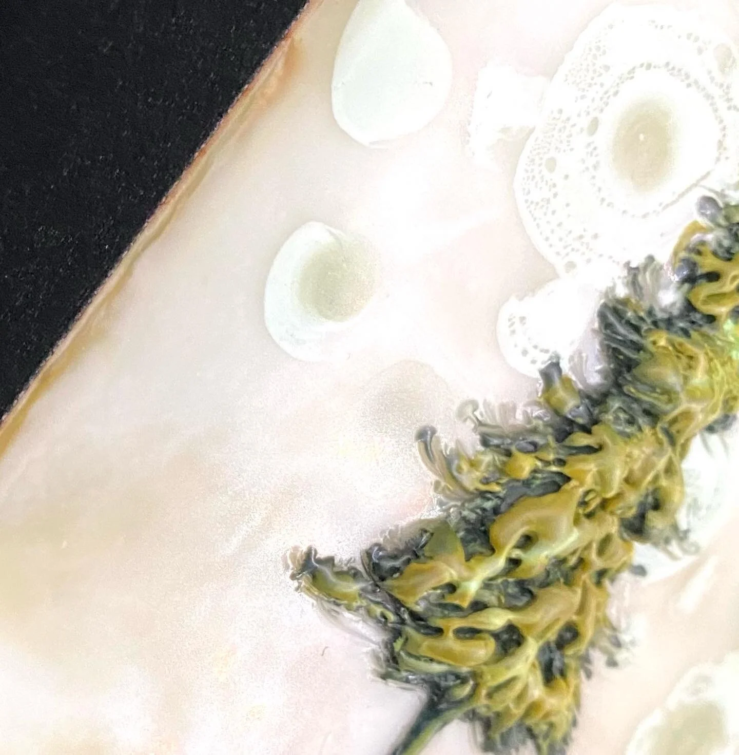 D8C53CEB-93B1-4D49-BF2E-AD50649B8C4C