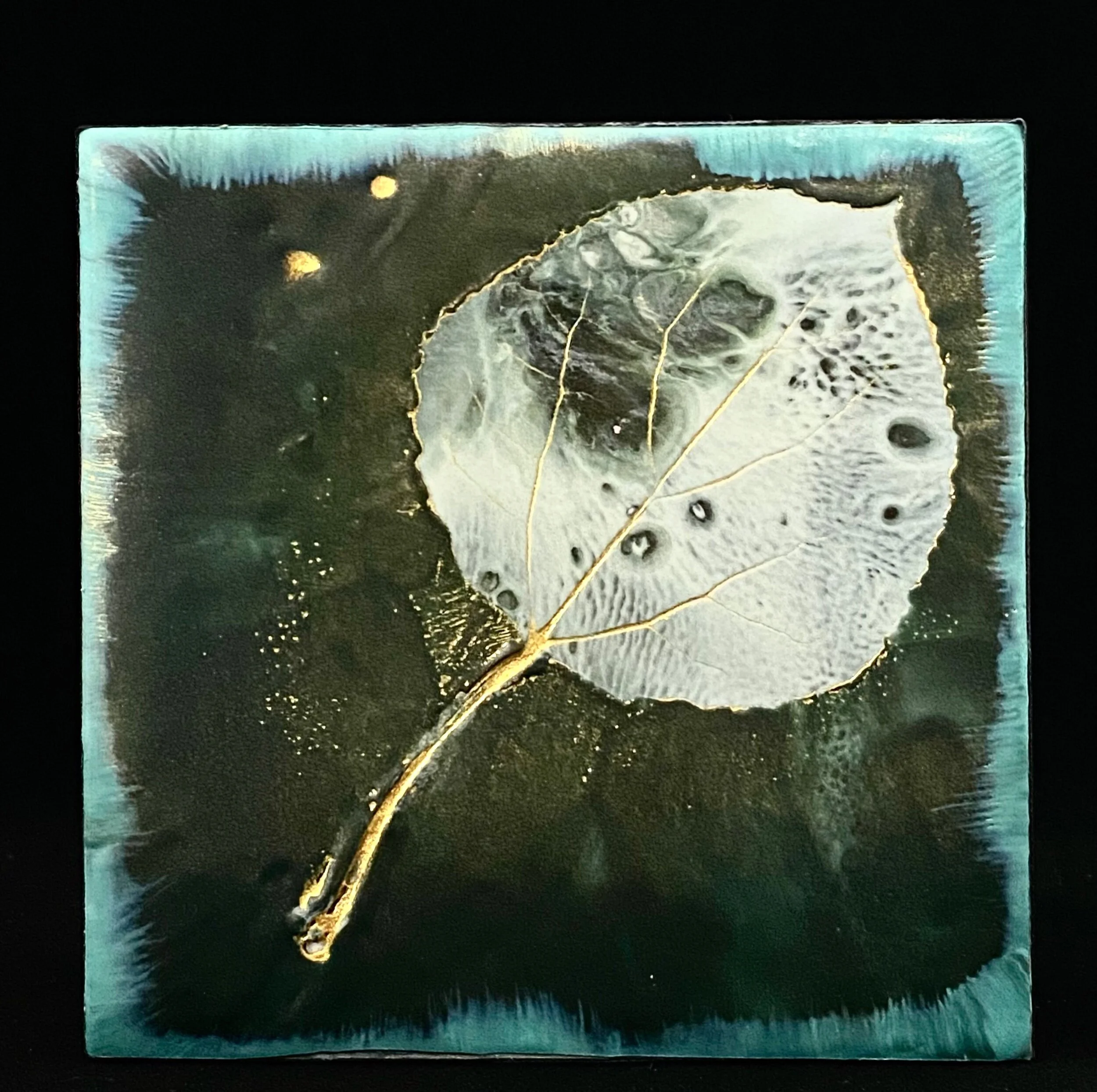 52377212-D927-45DD-A553-C2952B6E5BA3