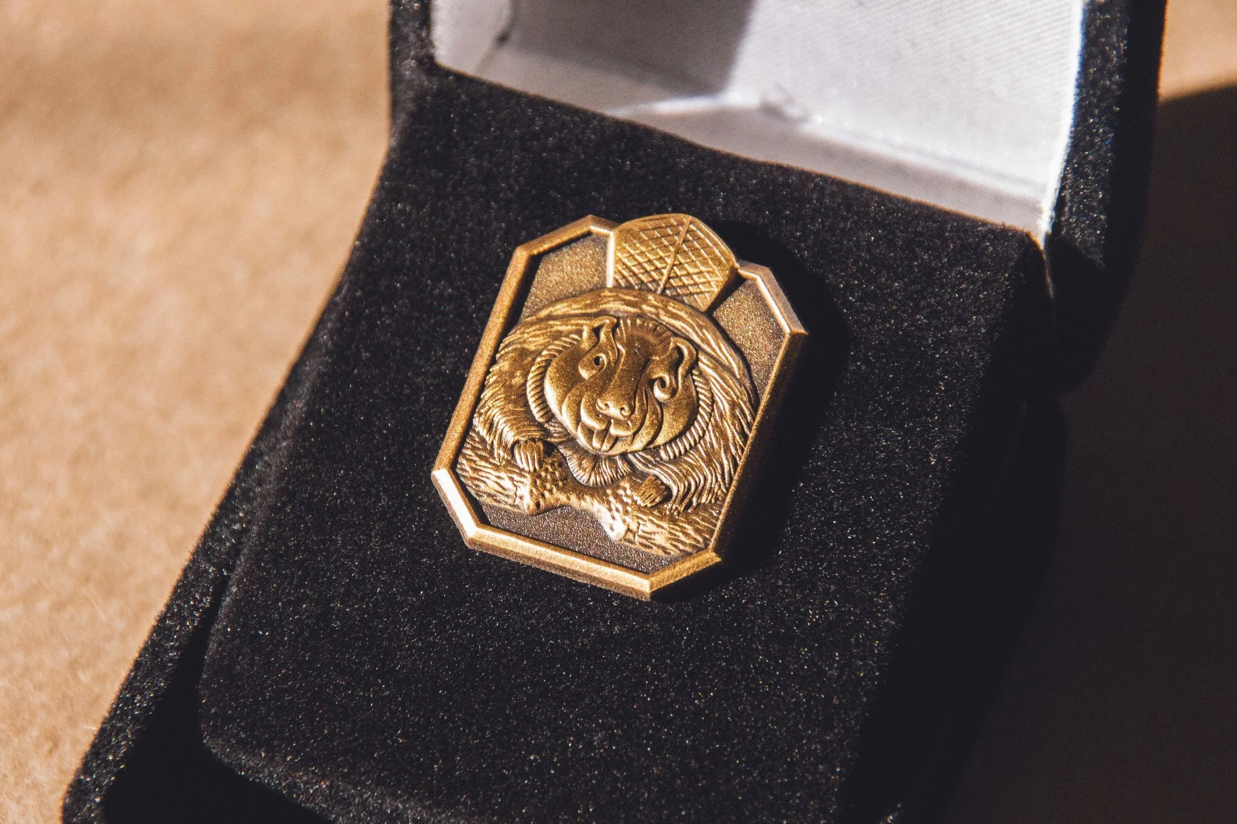   A pin for all new Harris members — edited photo of MU door handles that were submitted for engraving  