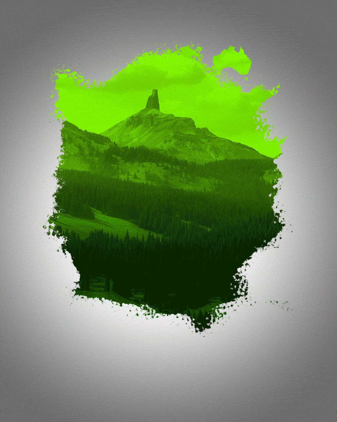 IM4X4_Collage.gif