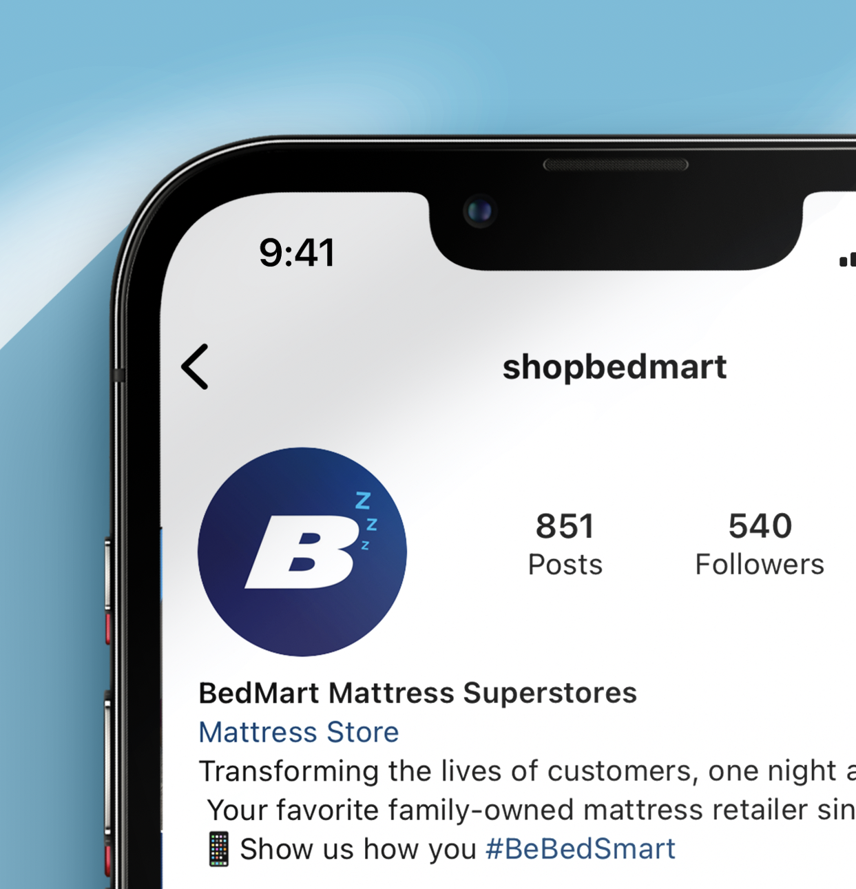 BedMartIG.png