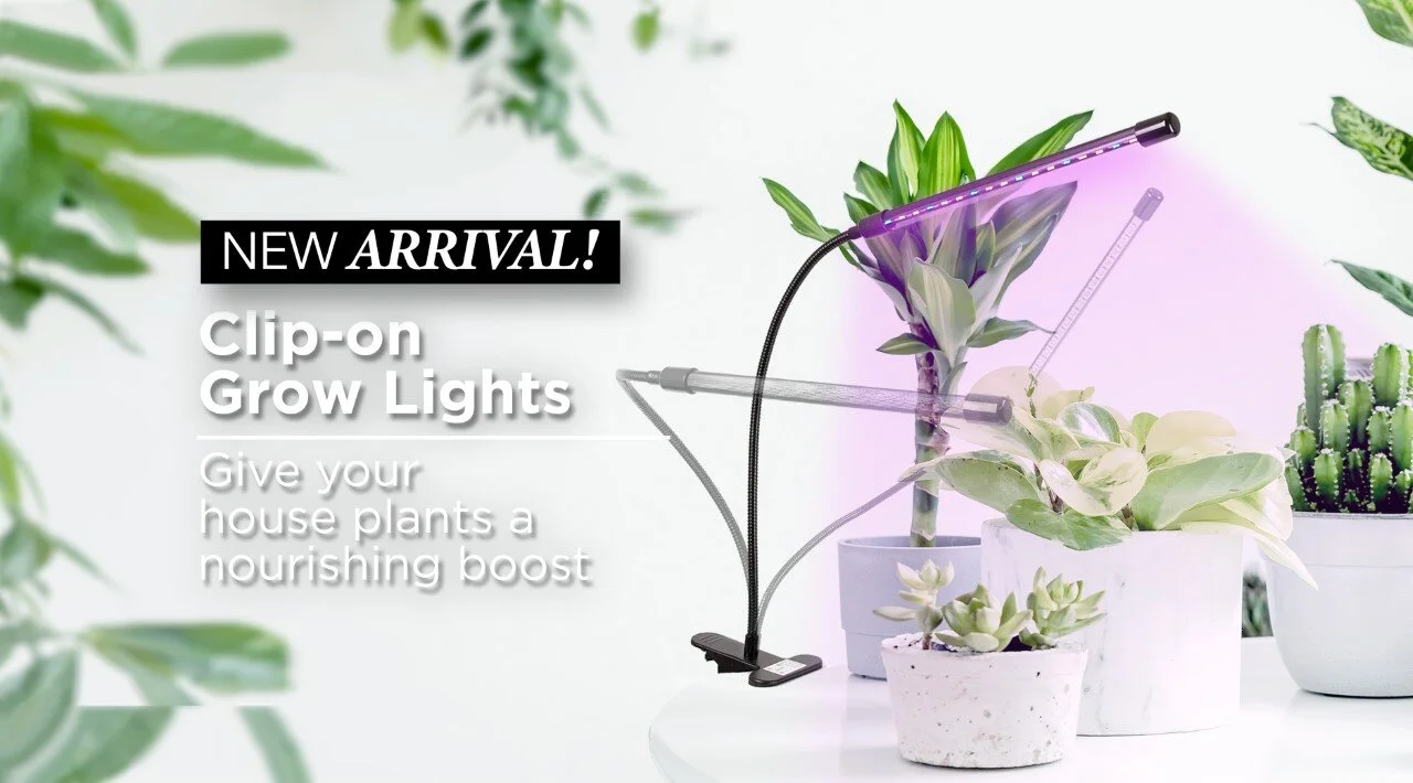 thumbnail_New Arrival boxs.jpg