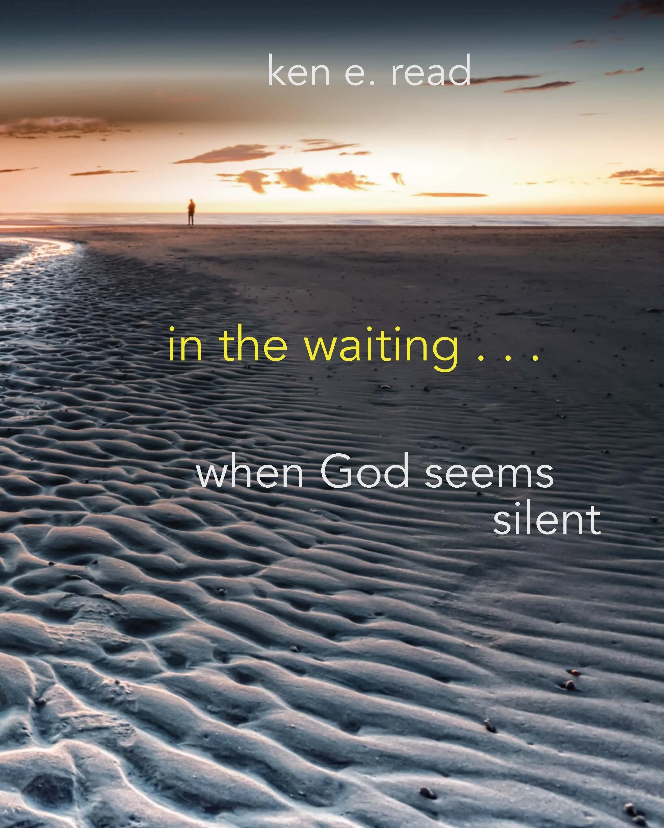 in the waiting cover4.jpeg