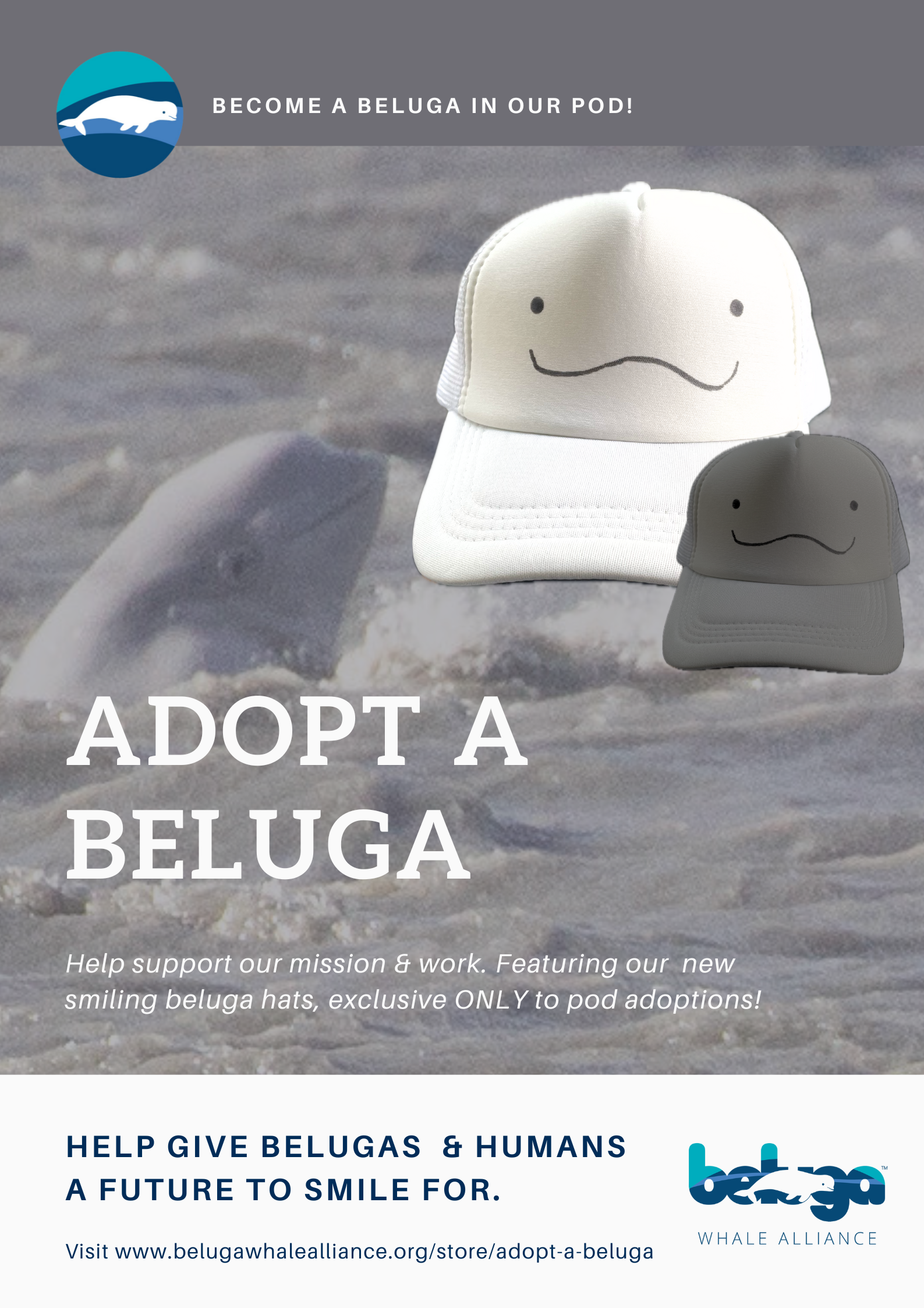 Adopt a Beluga