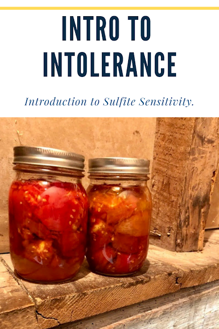 Intro to Intolerance IMG.png