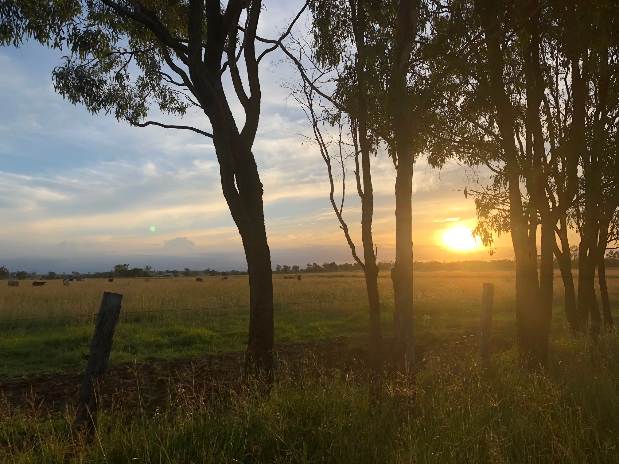 sunset.jpeg