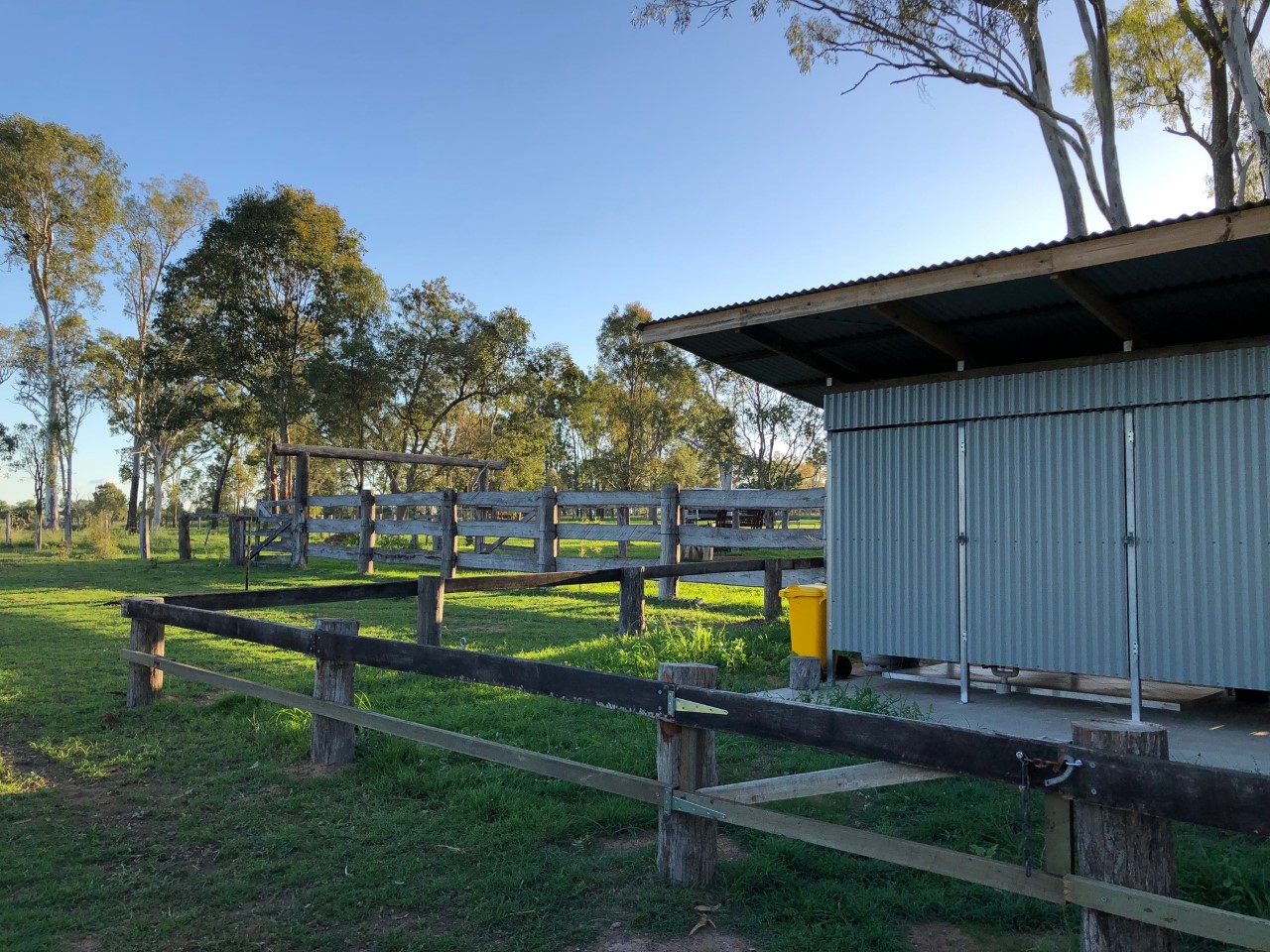 amenities block green.jpg