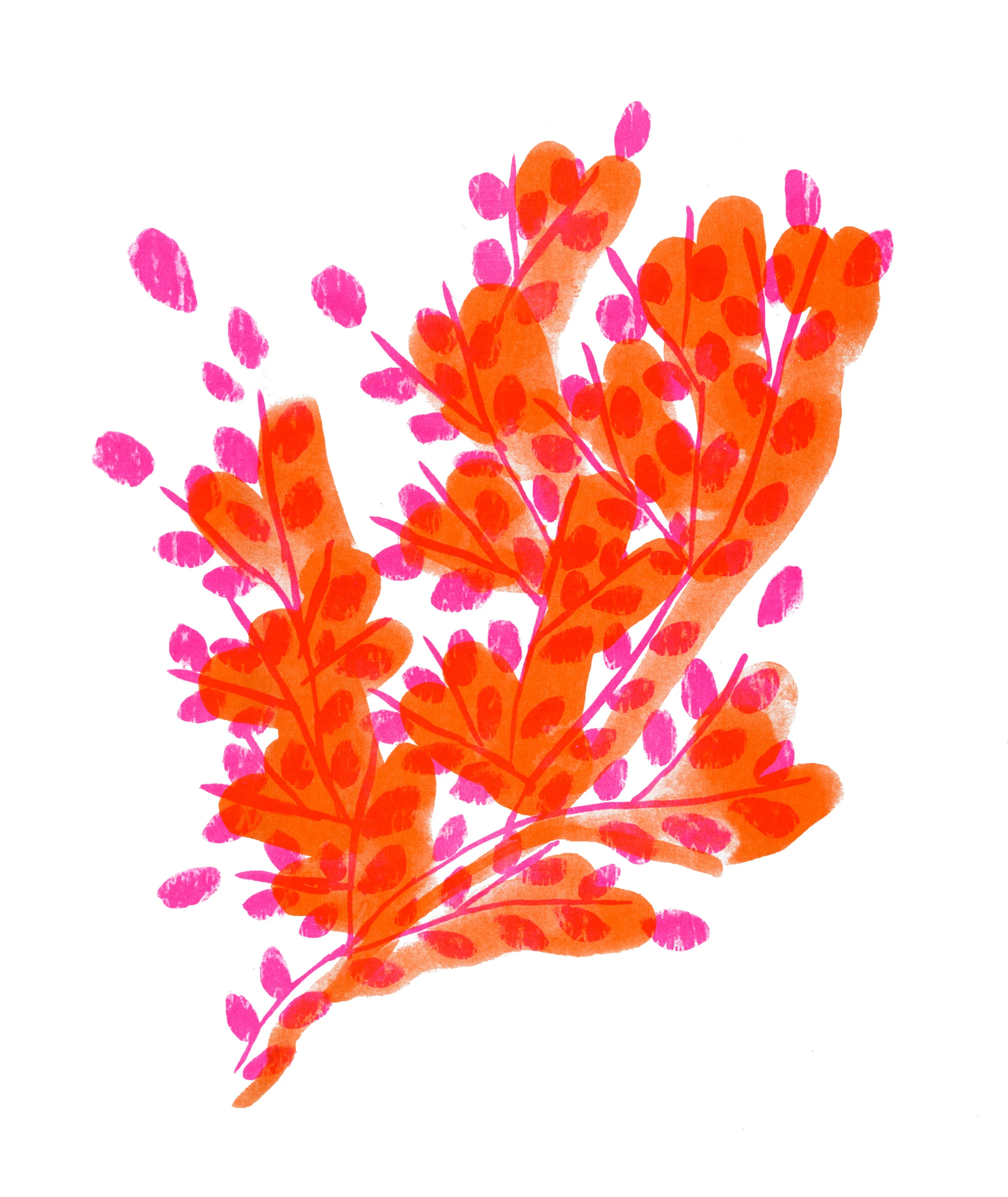 Bladderwrack RISO Print