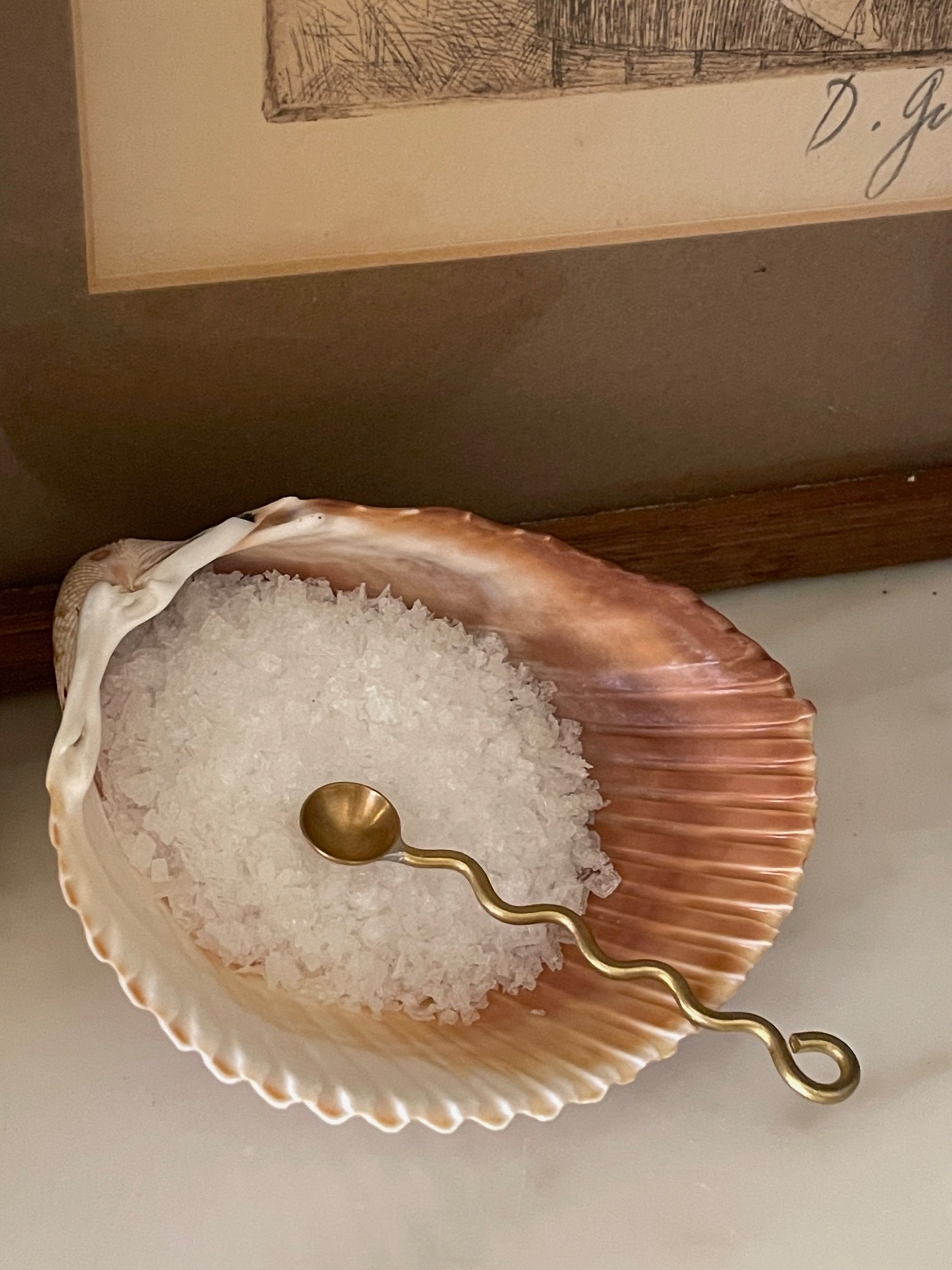 sea shell salt dish