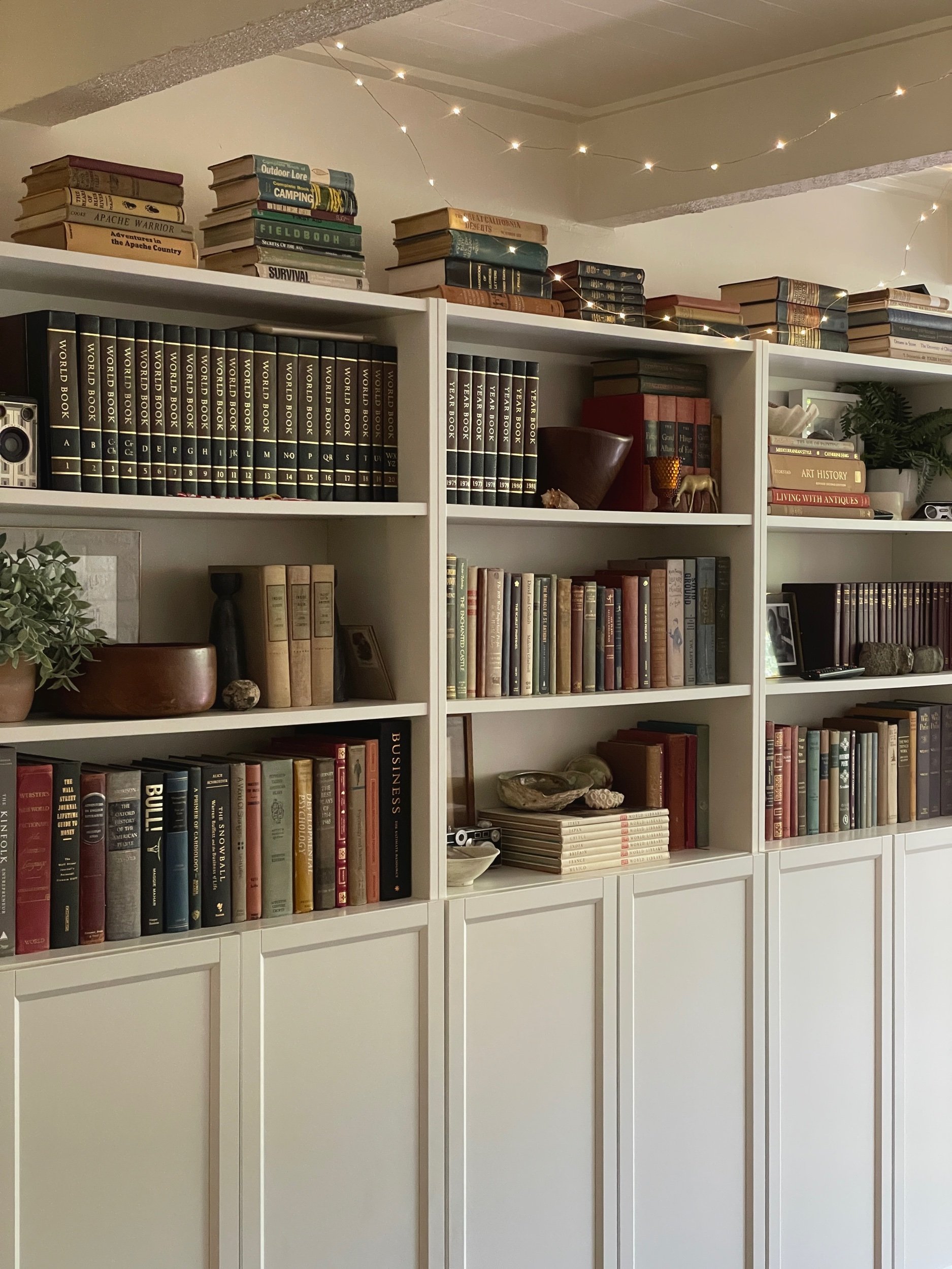 Cozy bookshelves | The Whitefeather Journal