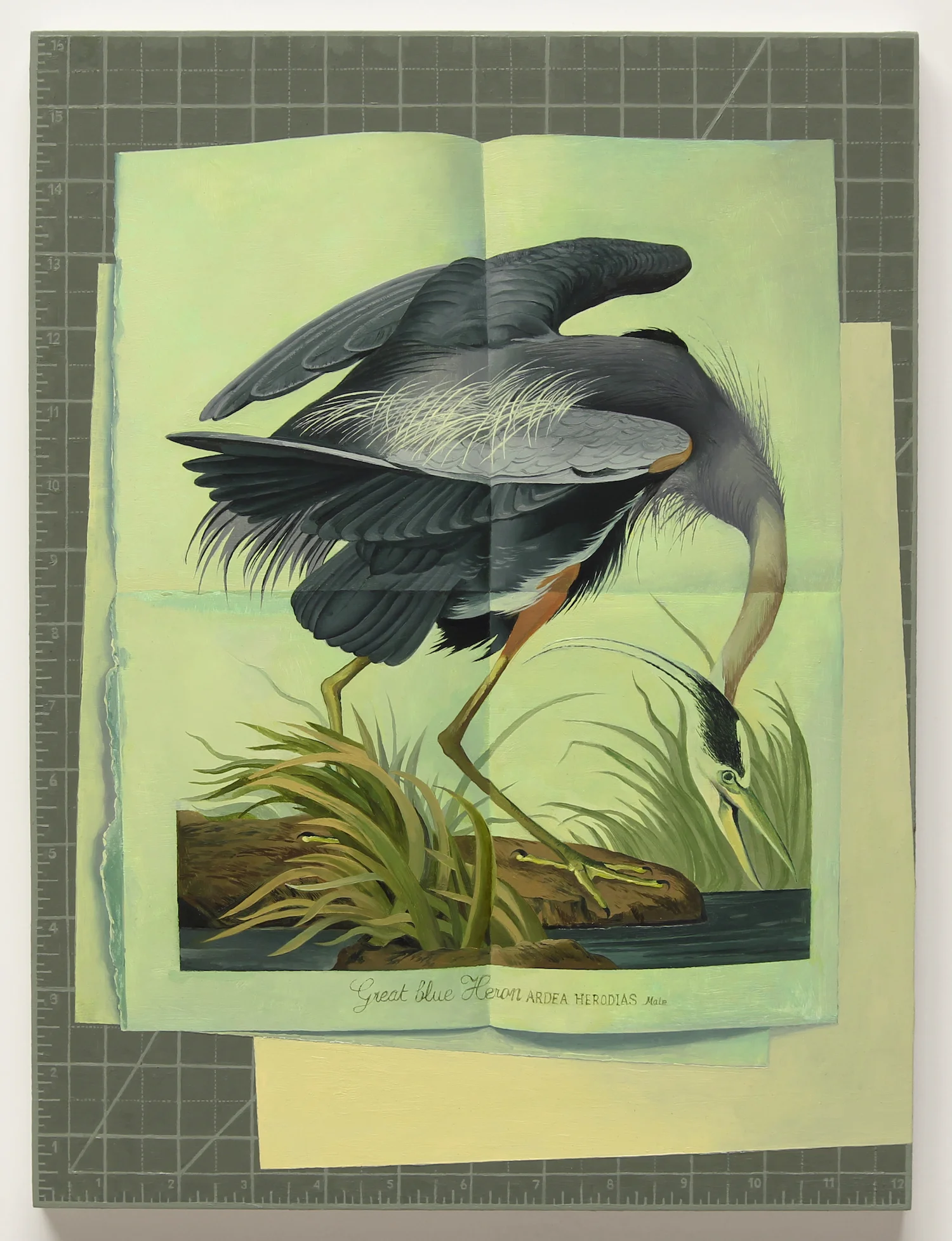 great blue heron