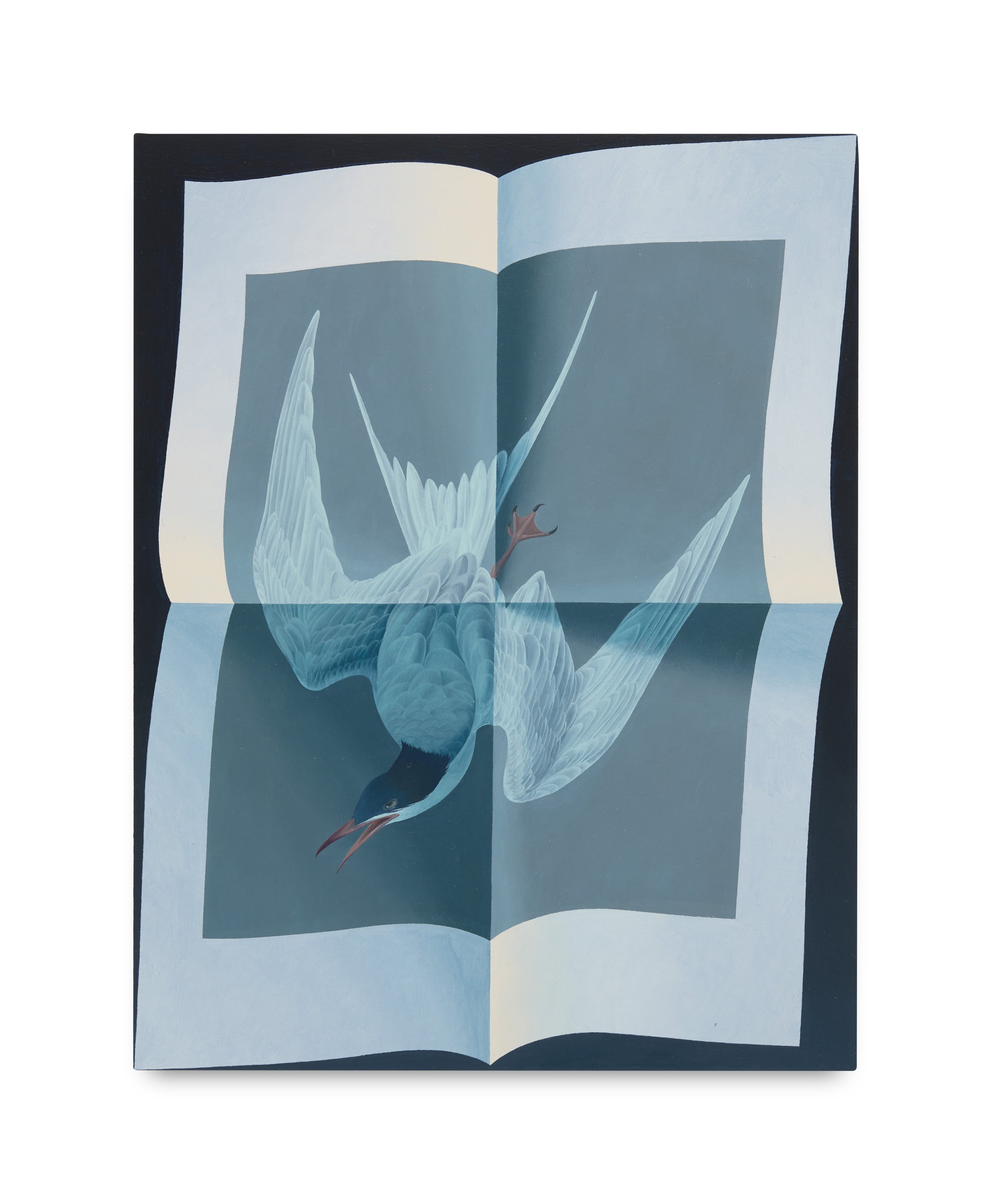   Page unfolded (Audubon great tern)  Oil on panel 11 x 8.5 inches 2023  Photograph by Tom Carter. Courtesy of Workplace, London and Newcastle. 