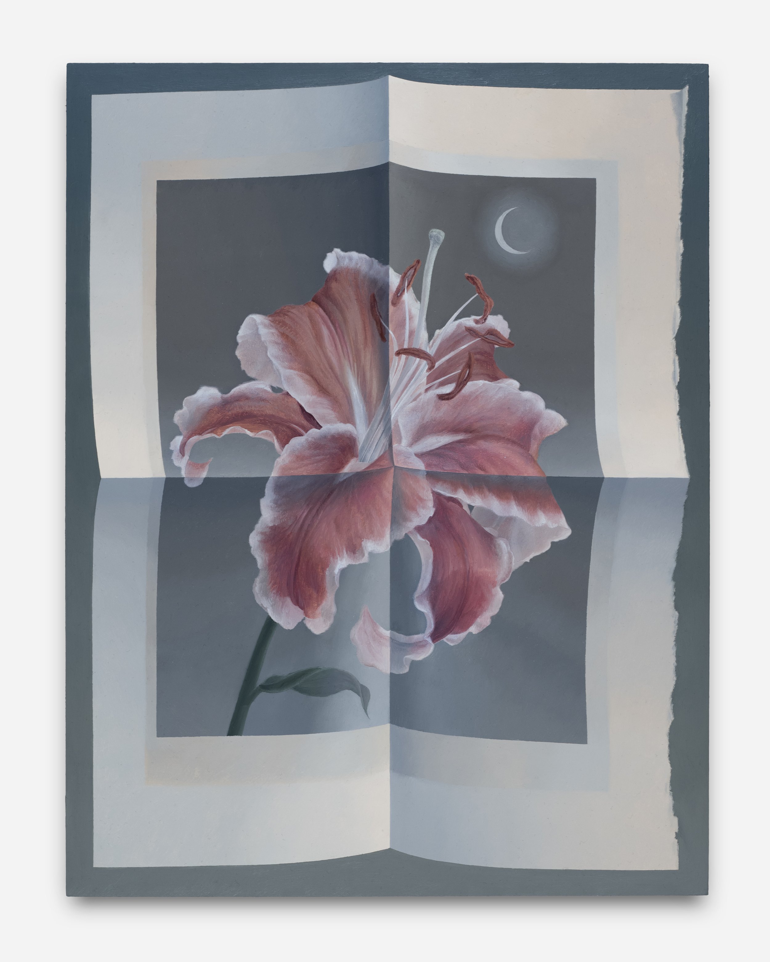  Page unfolded (pink lily with crescent moon) Oil on panel 11 x 8.5 inches 2023  Photograph by Claire Iltis. 