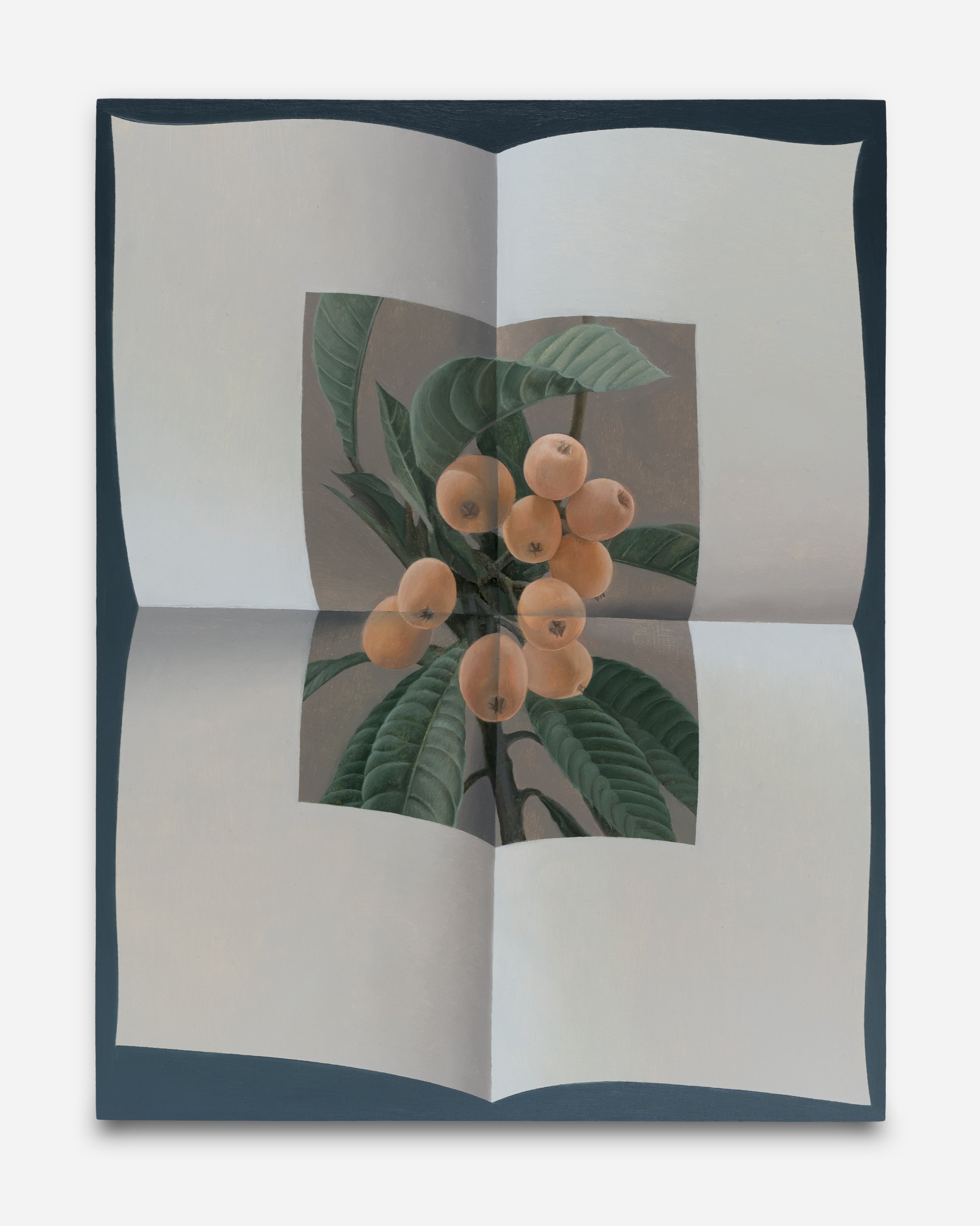  Page unfolded (loquat branch) Oil on panel 11 x 8.5 inches 2023  Photograph by Claire Iltis. 