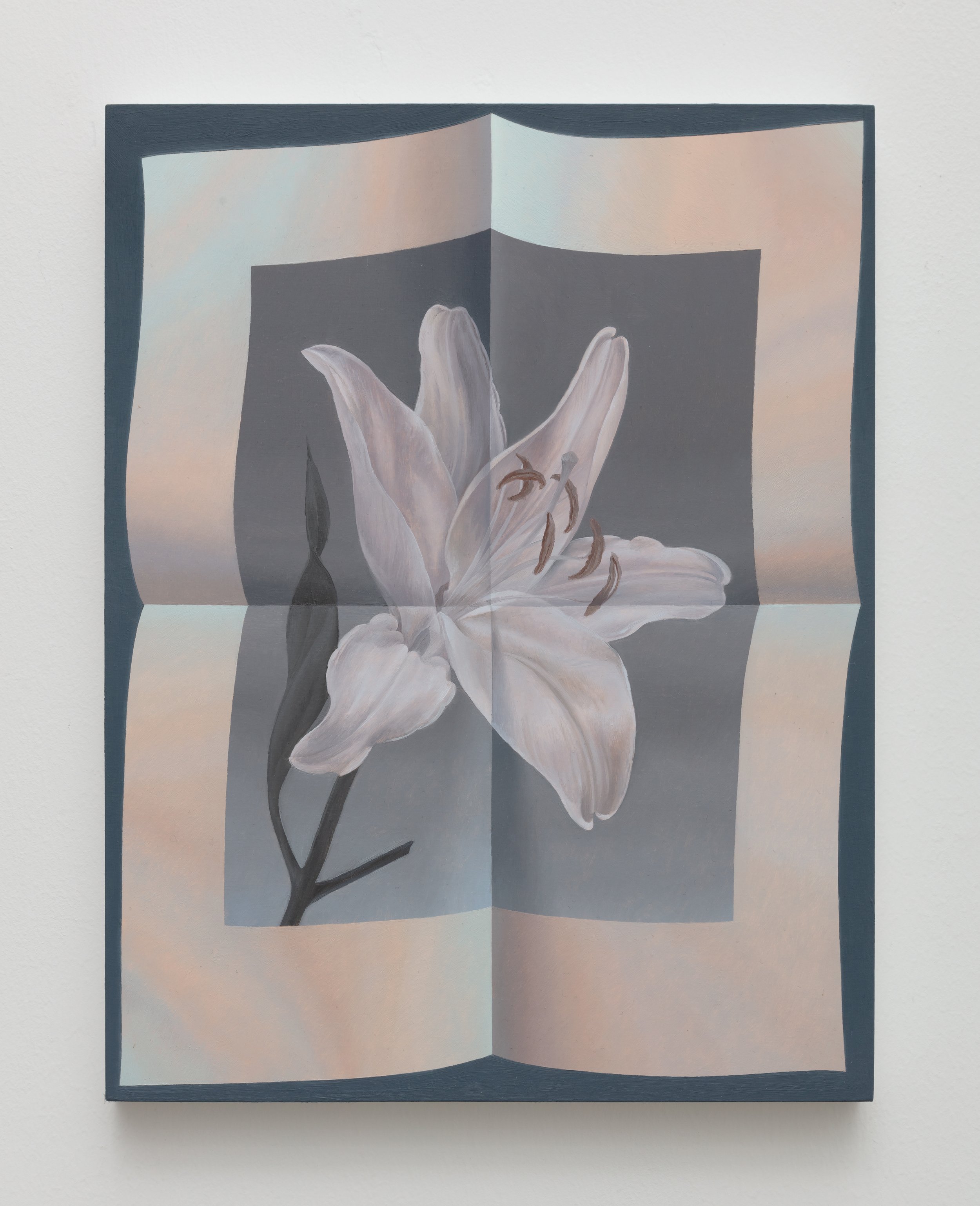  Page unfolded (white lily) Oil on panel 11 x 8.5 inches 2023  Photograph by Kevin Todora. 