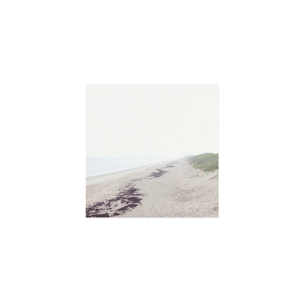 art_photography_coconut-point-morning-fog_unframed.jpg