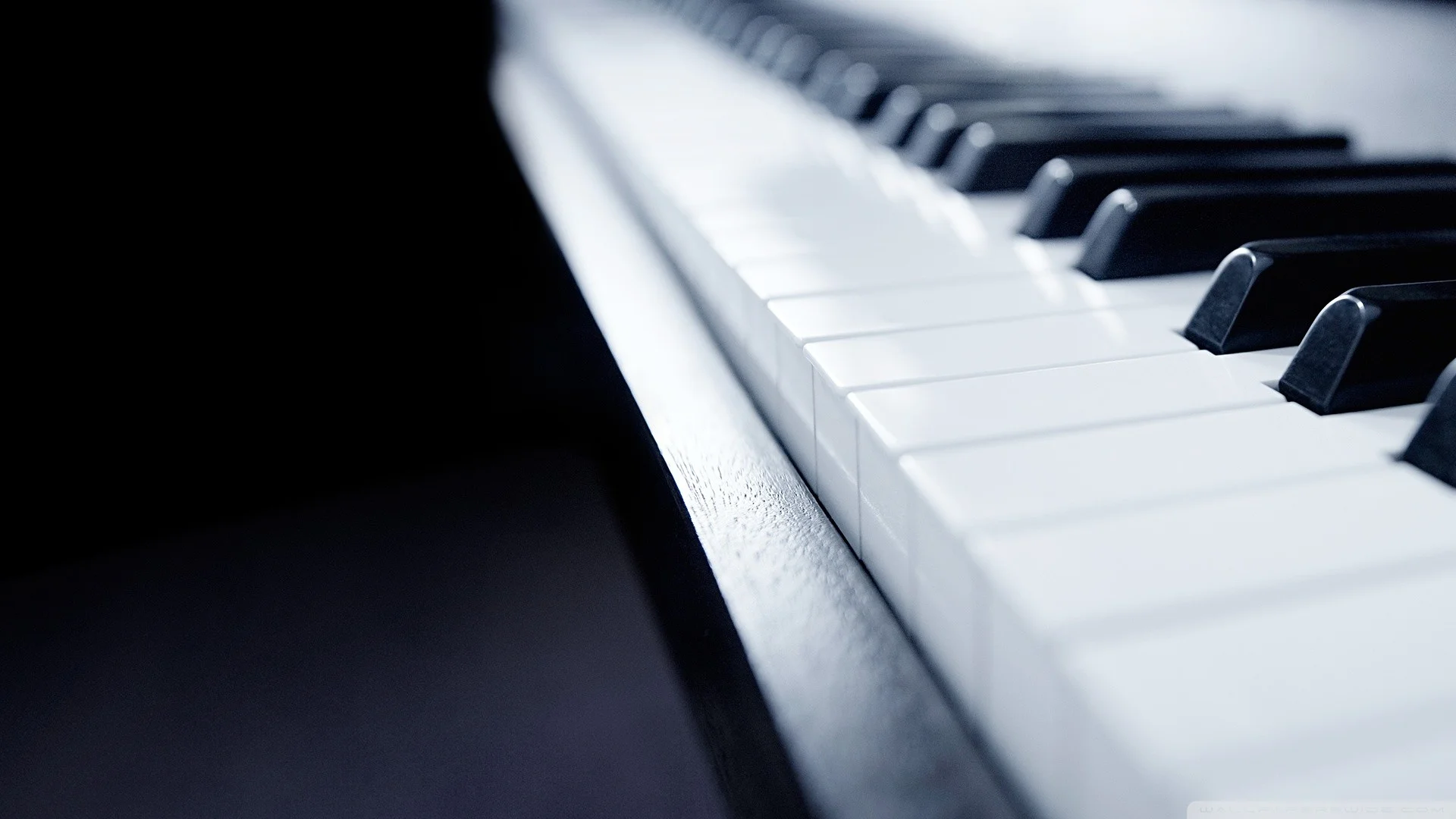 PIANO.jpg