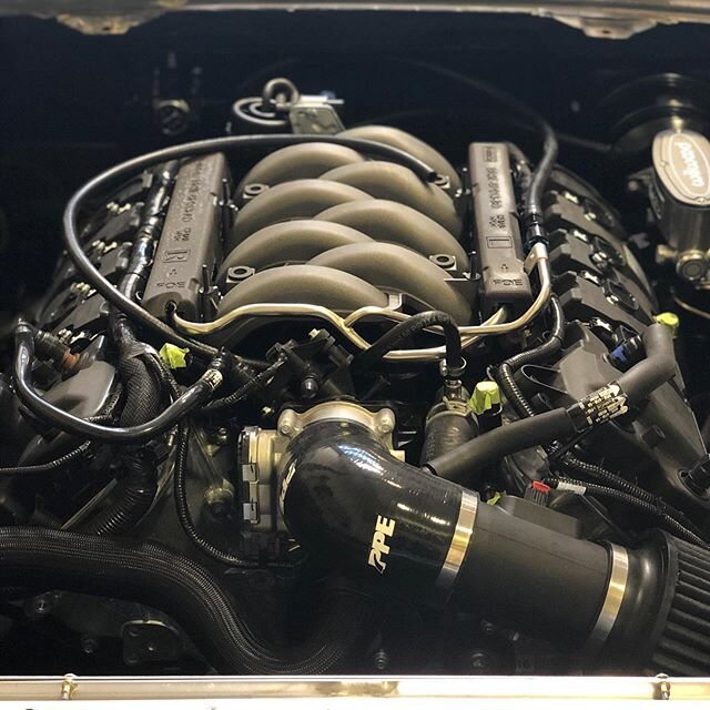 Coyote ready to howl!
