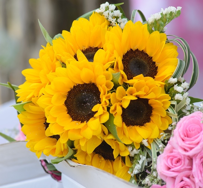 5 Flowers With Hidden Meanings Wedding Warriors
