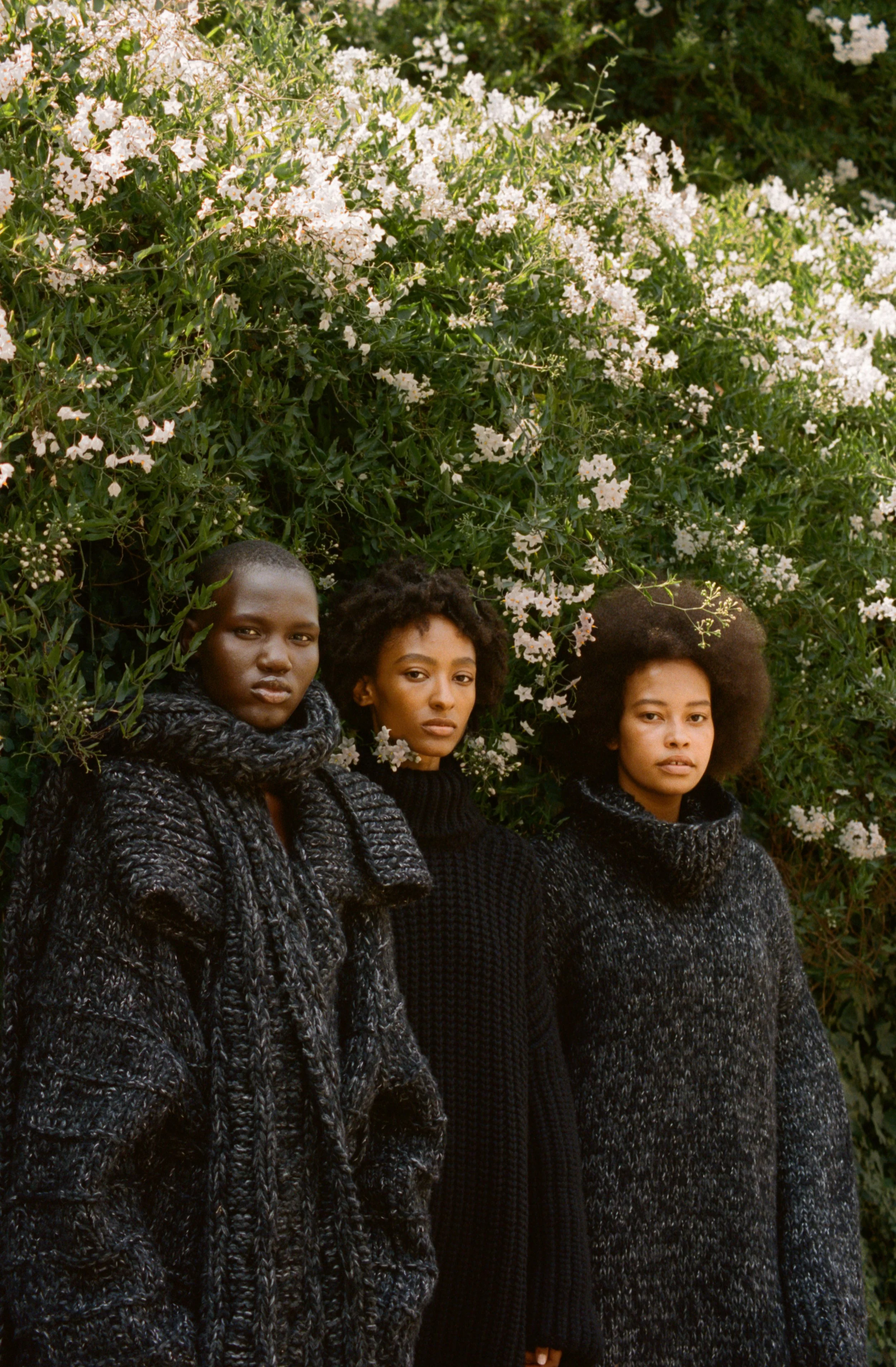 2008190013_6A copy.jpg