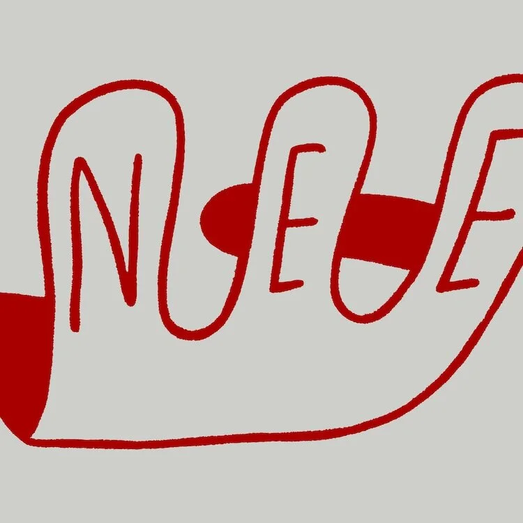 NEE Standard Edition Jacket Cover