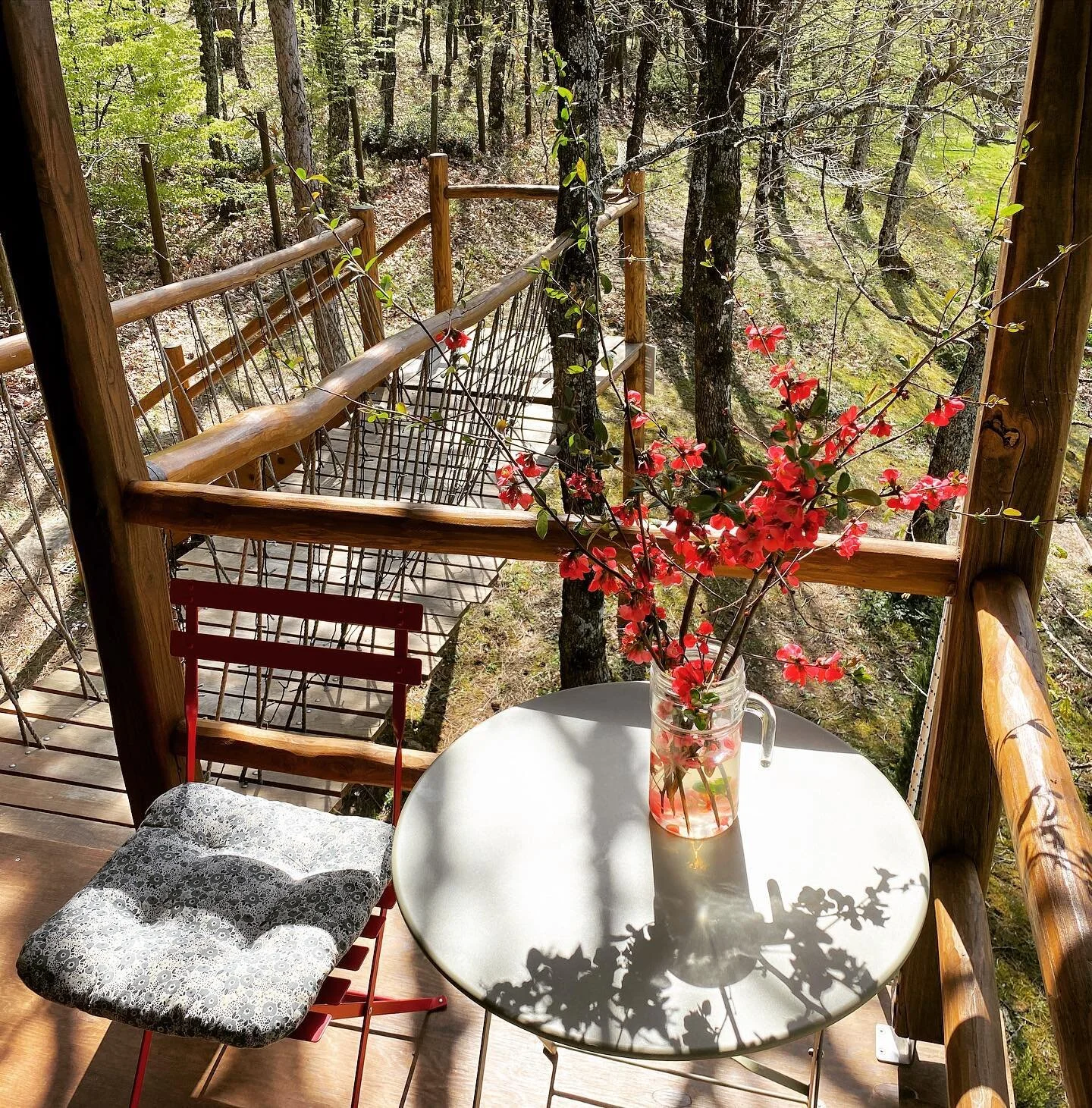 A pop of color for spring 🌺 

#springtime #wildflowers #flowerbouquet #springvibes #balconyviews #treehouse #boutiquehotel #uniquestays #weekendgetaway #naturelovers #greece_travel #airbnb_greece #halkidiki #beautifulhotels #agramadatreehouse #natur