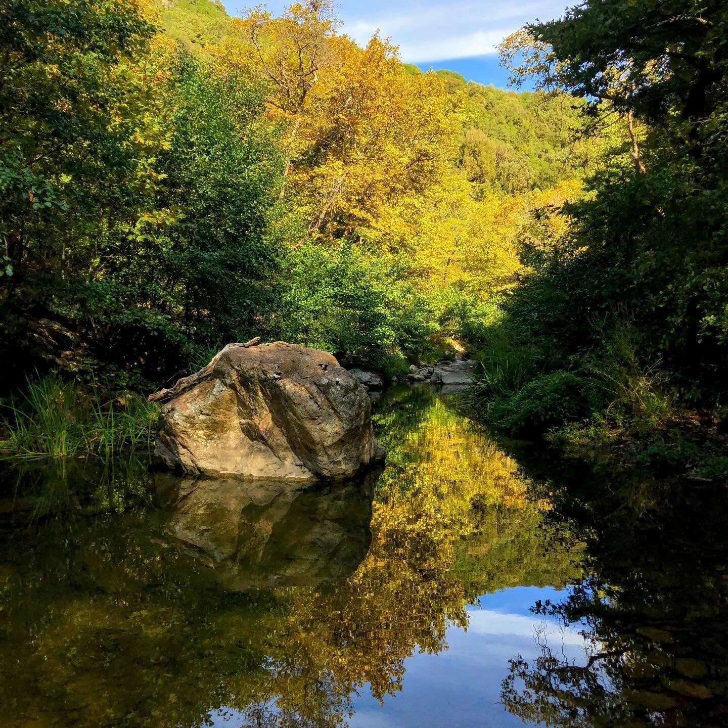 &bull; In order to offer you a complete getaway experience from your daily routine we organize a 4x4 experience, with hiking to a canyon, to chase a hidden waterfall🌳

📍For more info link in bio!
.
.
.
#agramada #agramadaexperiences #getaway #fores