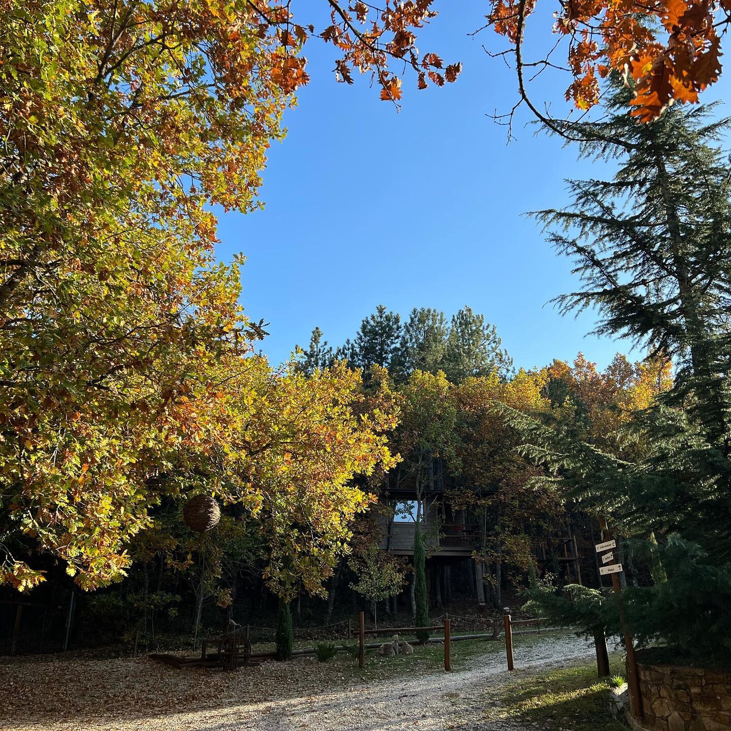 &bull; Let&rsquo;s talk about colors. 
L&rsquo;Autumne 🍂 🌳

📍 For bookings link in bio!
.
.
.
#agramada #autumn #agramadatreehouse #nature #unique_greece__ #xaniagramada #boutiquehotel #forest #glamping #slowliving #chalkidiki #cozyhome #greece #f