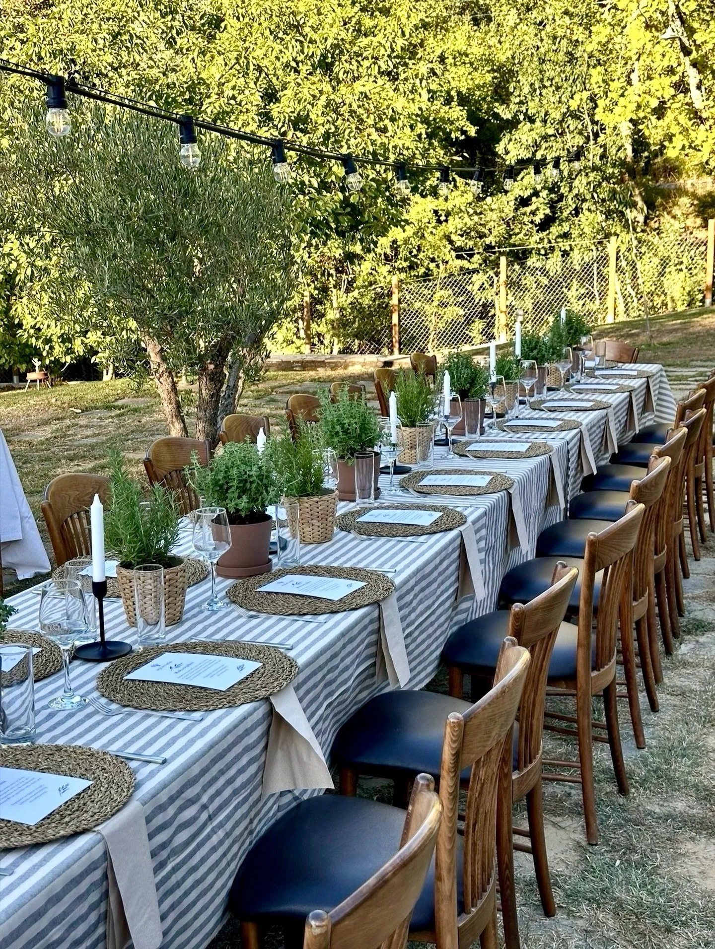 Dine beneath the trees. An outdoor setting perfect for private gatherings, business lunches and unforgettable evenings 🌿

&bull; Agramada Treehouse &bull; 

#outdoordining #eventvenue #hospitality #underthestars #uniqueexperiences