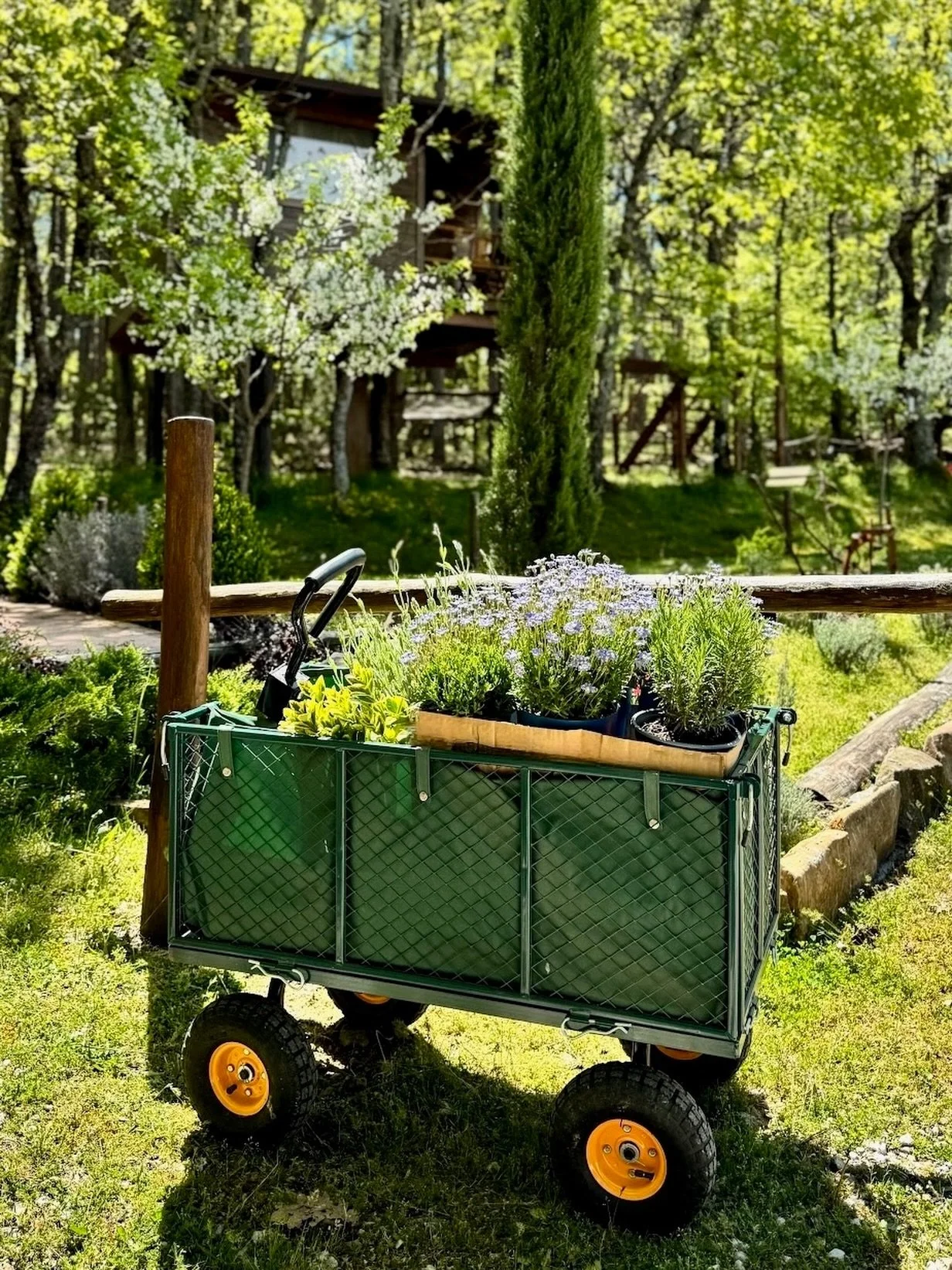 Spring has arrived, so it&rsquo;s time to plant something beautiful 🌷

&bull; Agramada Treehouse &bull; 

#garden #ecostay #forestretreat #greenescape #halkidiki