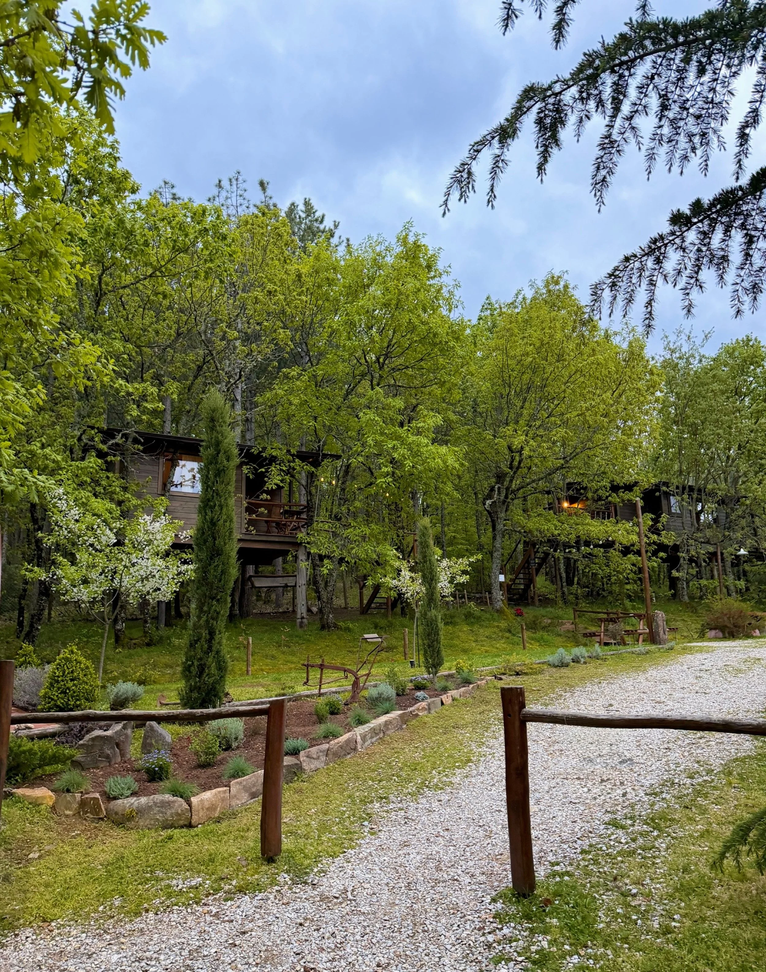 Trade city lights for treetop nights 🌳

&bull; Agramada Treehouse &bull; 

#treehousestay #quiteluxury #slowliving #cabinlife #weekendescape
