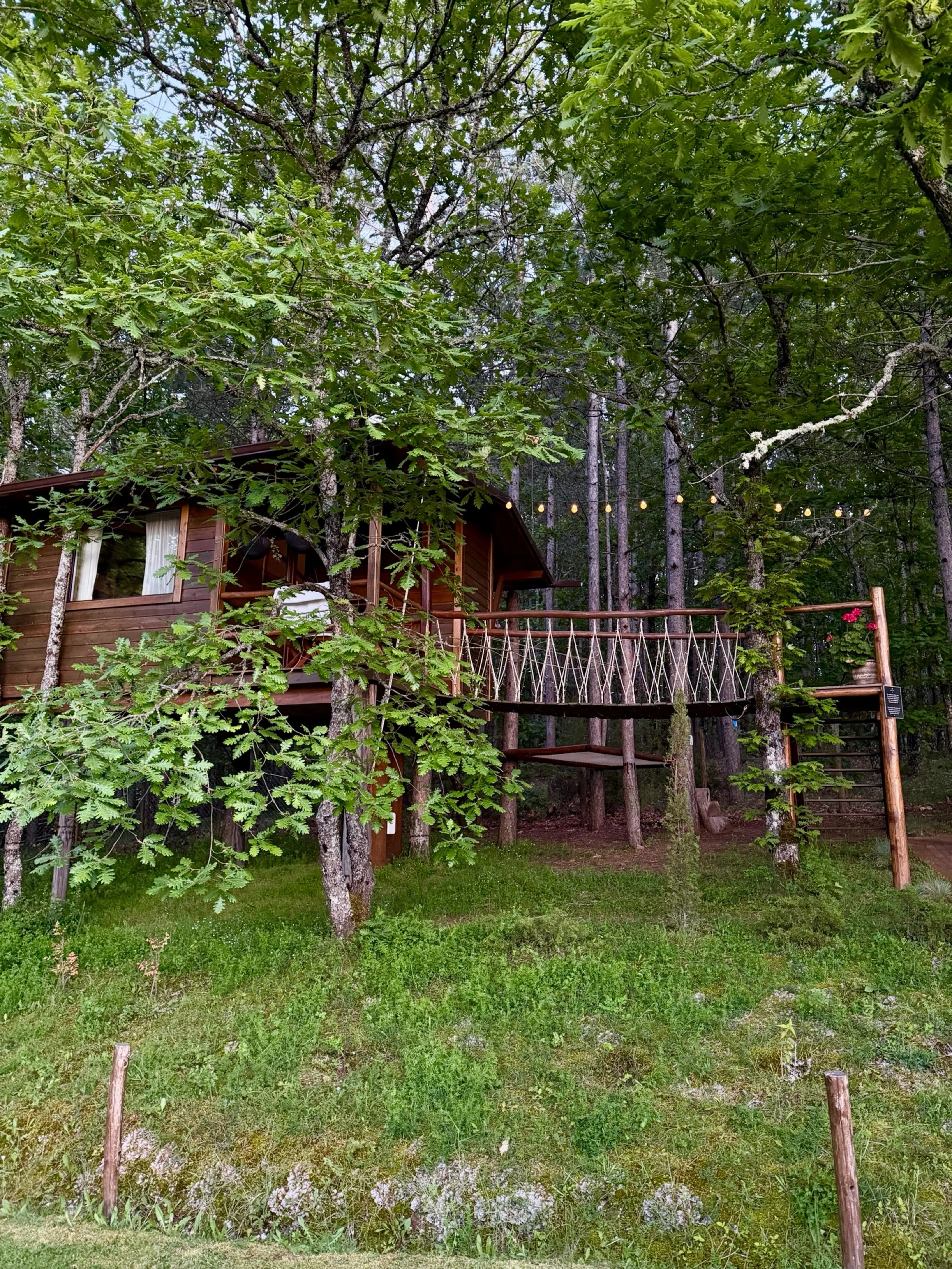 Your forest hideaway is calling 🌳

&bull; Agramada Treehouse &bull; 

#uniquestays #forestliving #dreamdestination #boutiquehotel #natureescape