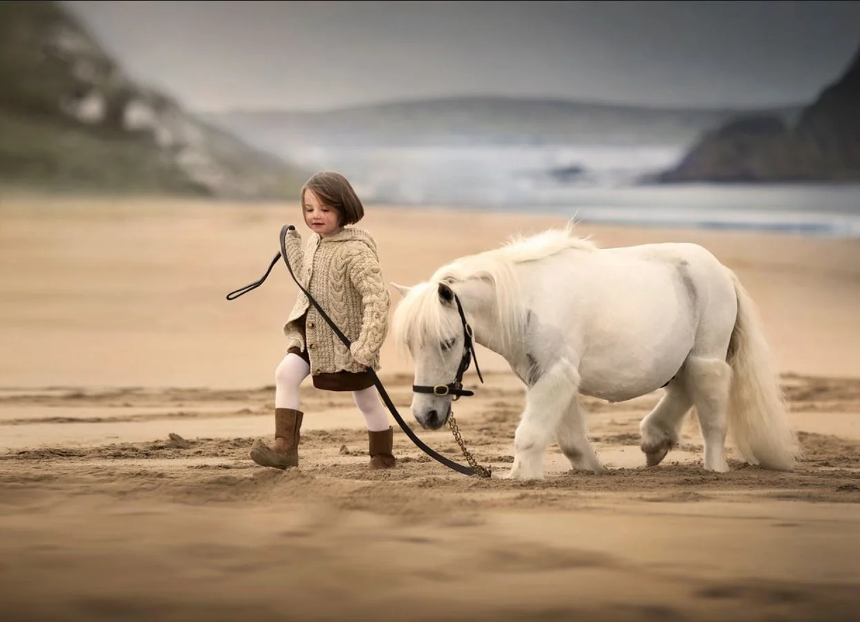 Malin stables in Malin town, Co. Donegal supplied the beautiful little model and pony