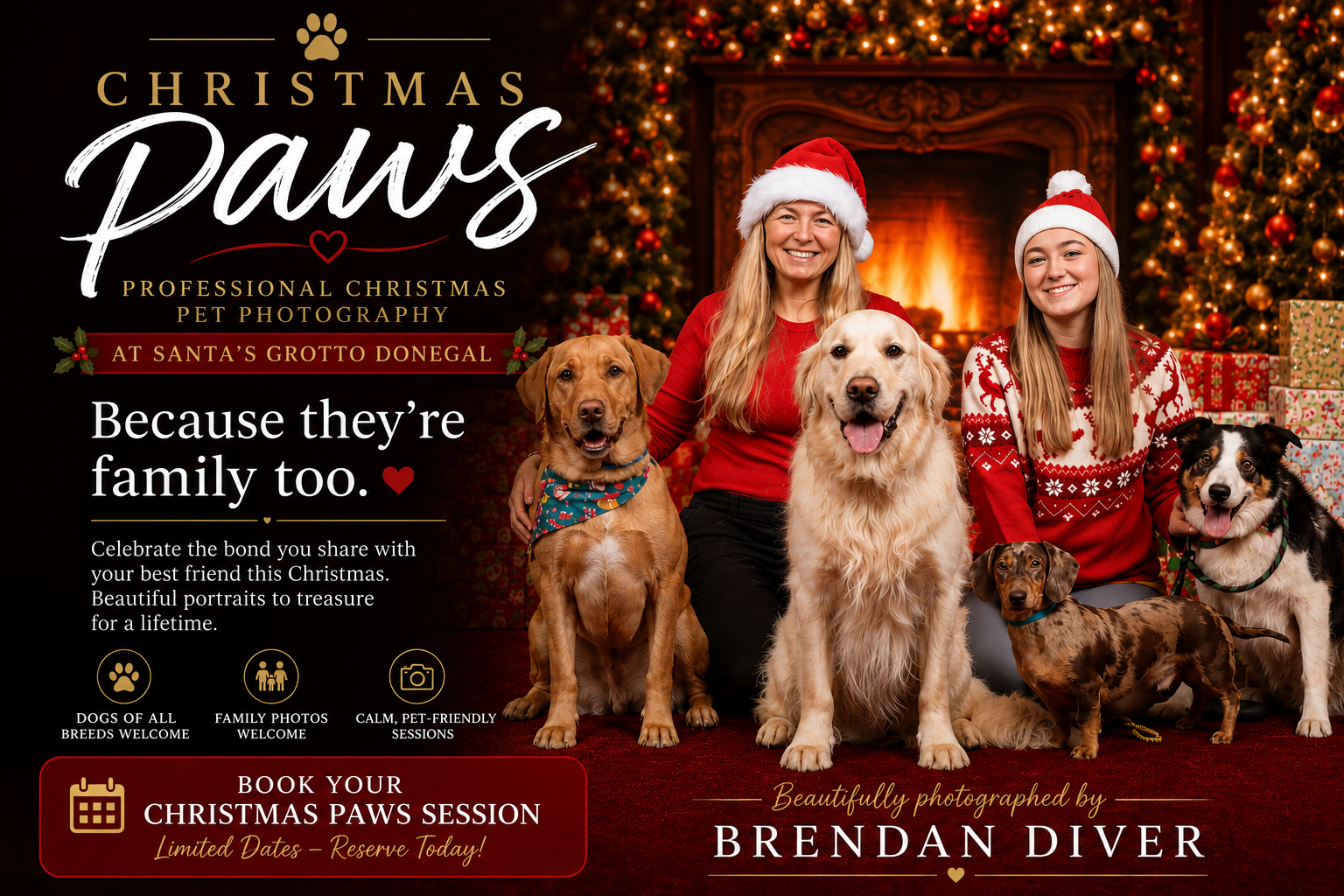 Christmas Paws