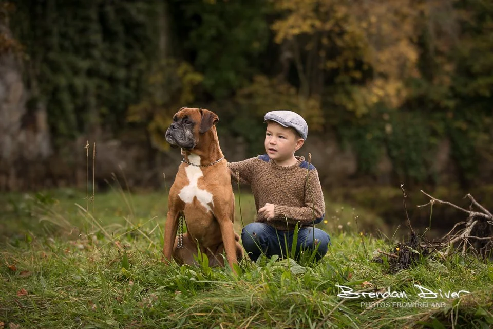 Pet Photography