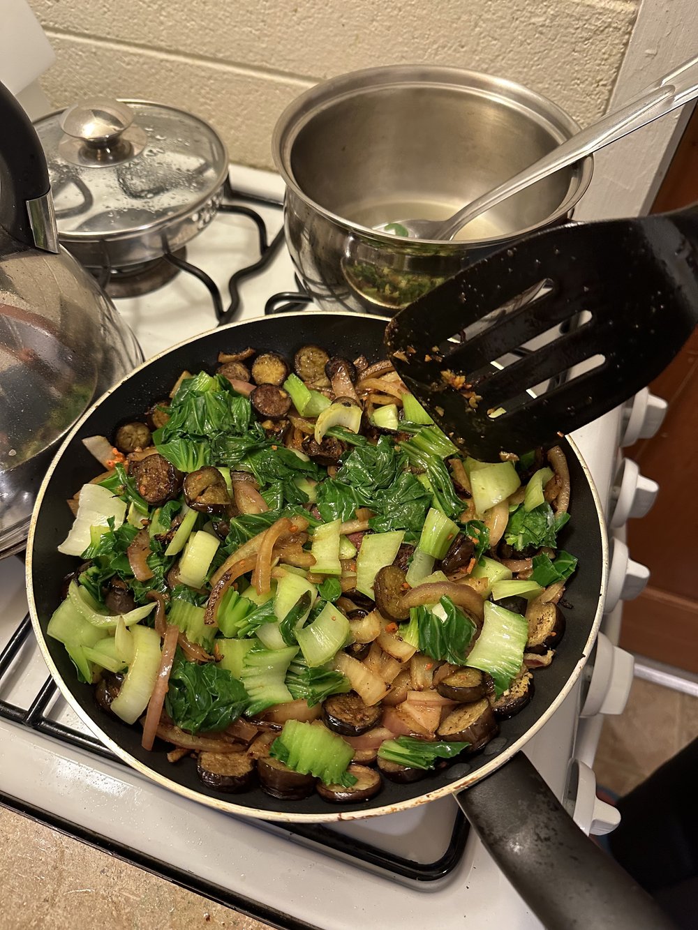 Stir fry eggplant, bok choy, onion.jpg