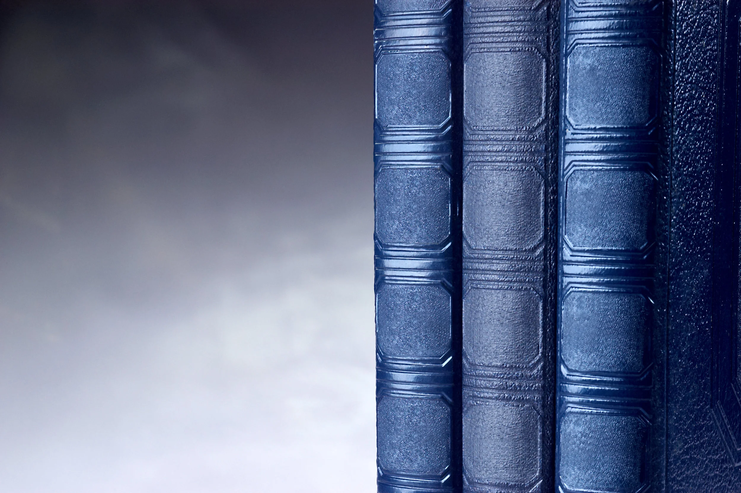 Three blue books.jpg