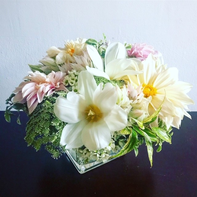Blush and creams for this chilly Sunday morning. Hope everyone is finding a little beauty in the weekend!⠀⠀⠀⠀⠀⠀⠀⠀⠀
.⠀⠀⠀⠀⠀⠀⠀⠀⠀
.⠀⠀⠀⠀⠀⠀⠀⠀⠀
.⠀⠀⠀⠀⠀⠀⠀⠀⠀
.⠀⠀⠀⠀⠀⠀⠀⠀⠀
#inspiredbynature #designedinbrooklyn #flowerstagram #flowersofinstagram #flowers #nyrealestate #staging #gifting #staginghomes #floraldesigner #events #nyflorist #nystaging #realestate