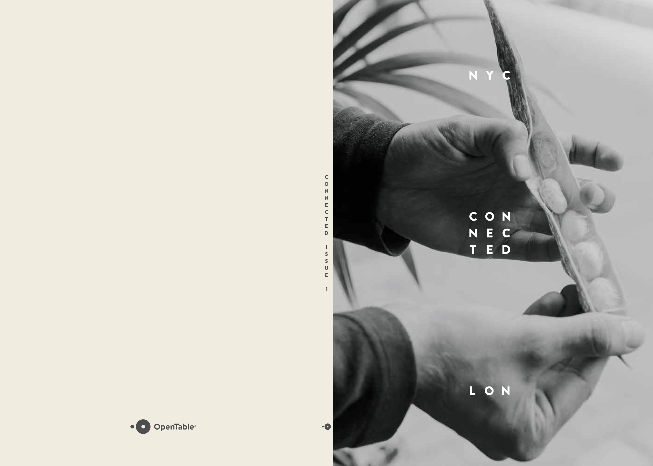 OpenTable_Connected Journal.jpg