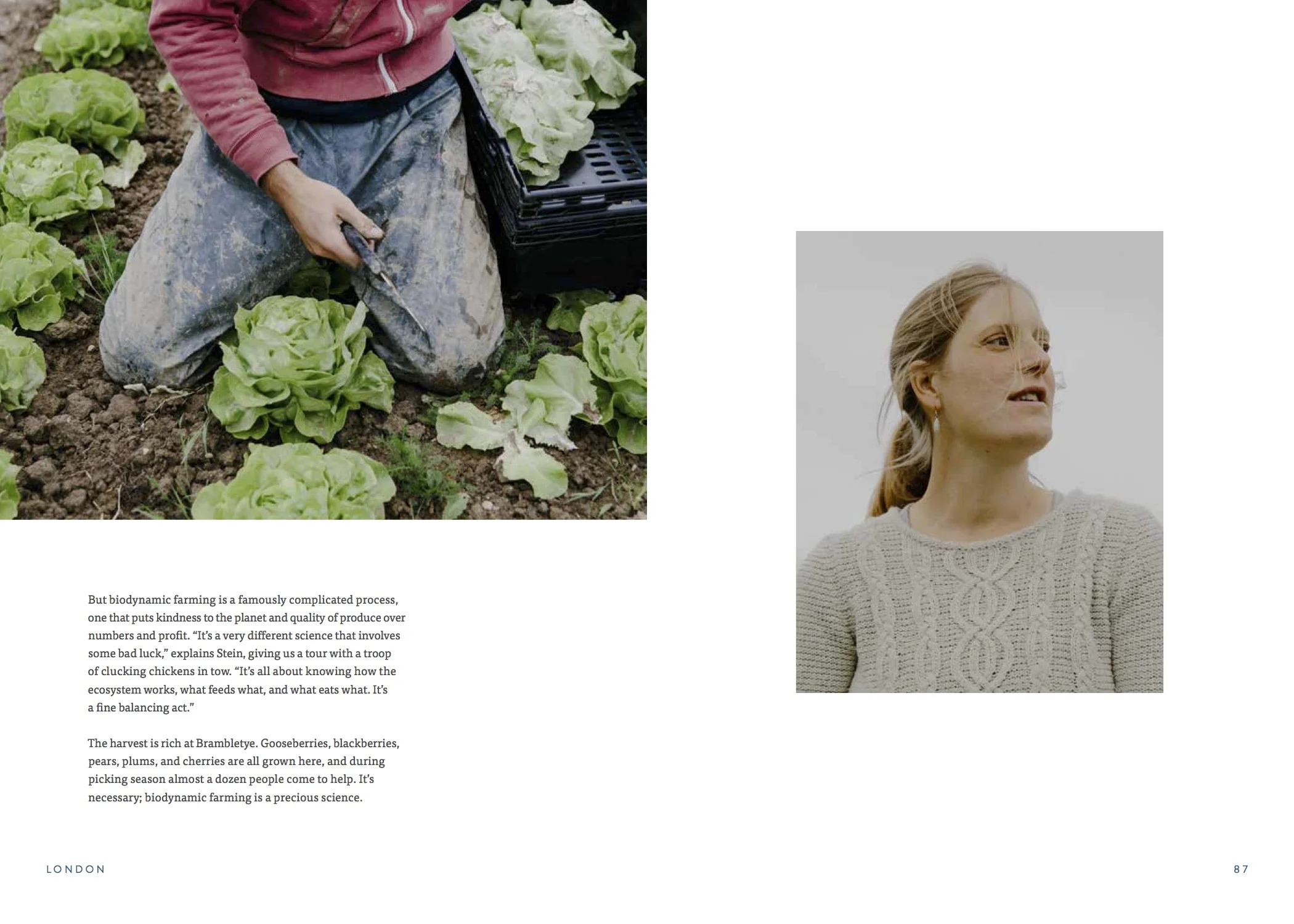 OpenTable_Connected Journal_50.jpg