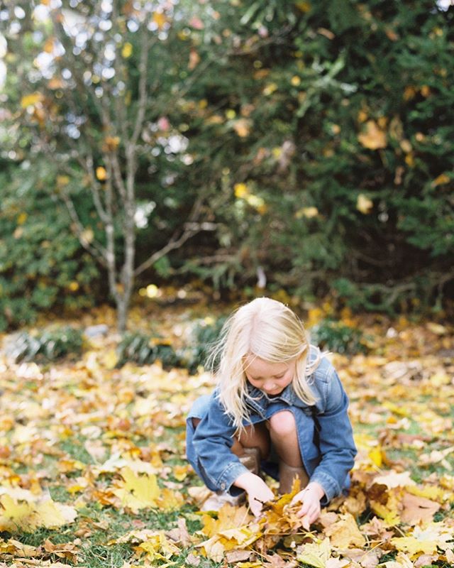 Wishing this golden girl and her family all the best in California this fall. Loved photographing for you @kiramia 💛