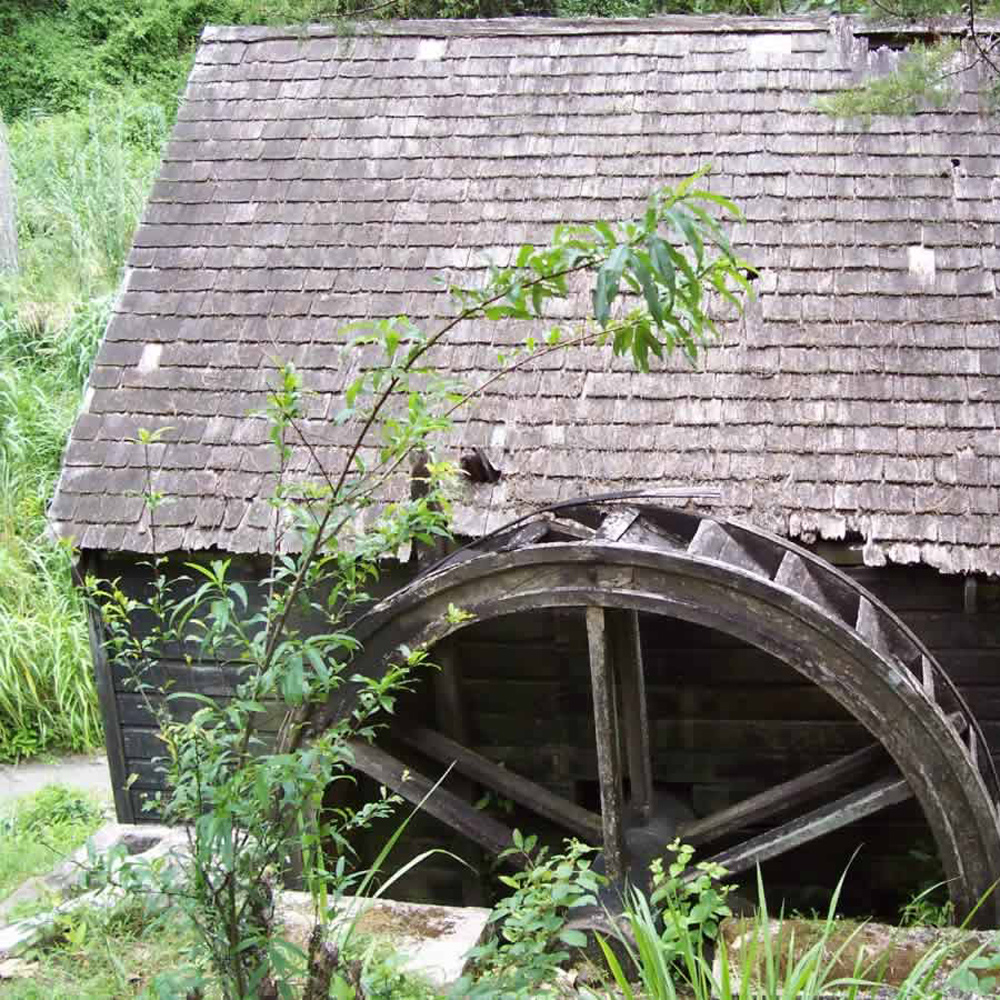 Water-wheel-at-Clydesdale-Estate-(1)=square.jpg